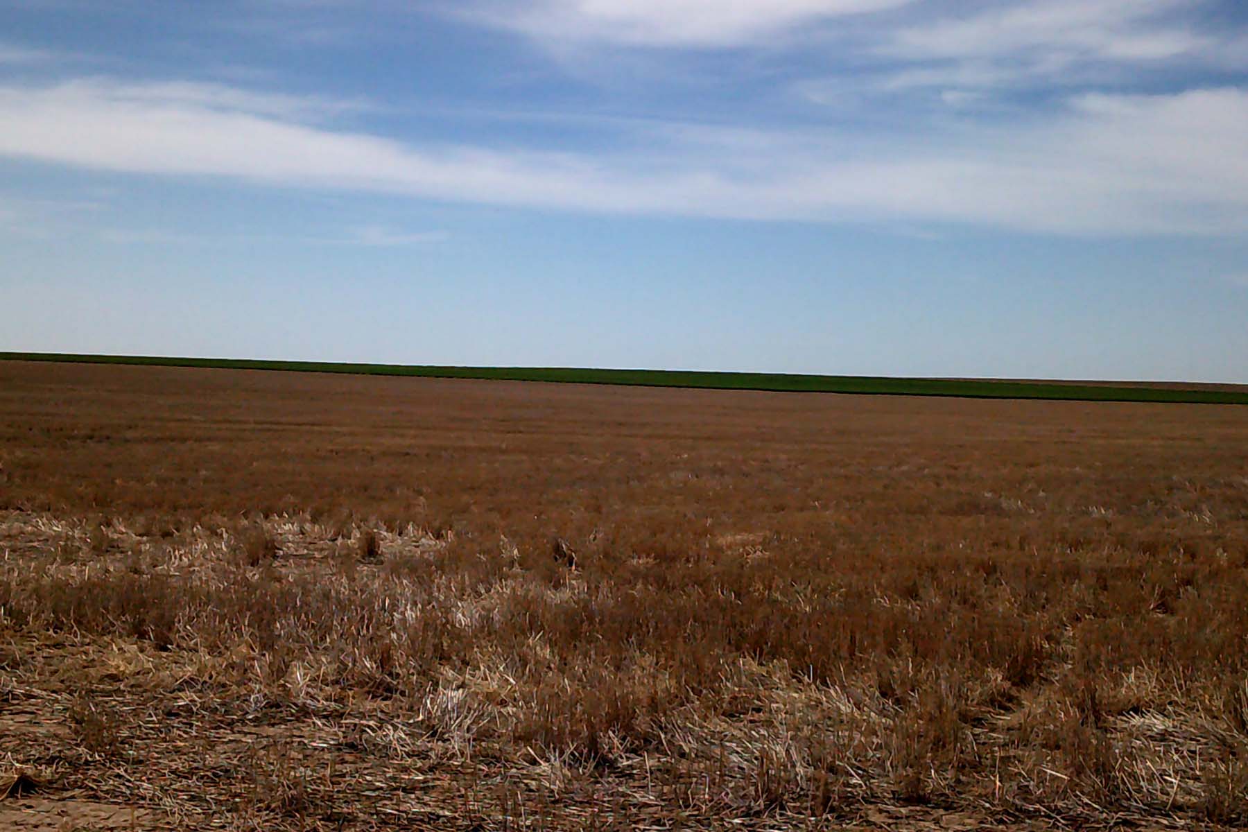 Kit Carson County Farmland property picture 15 of 31