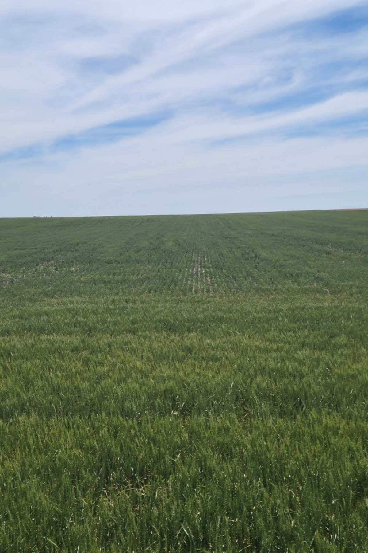 Kit Carson County Farmland property picture 2 of 31