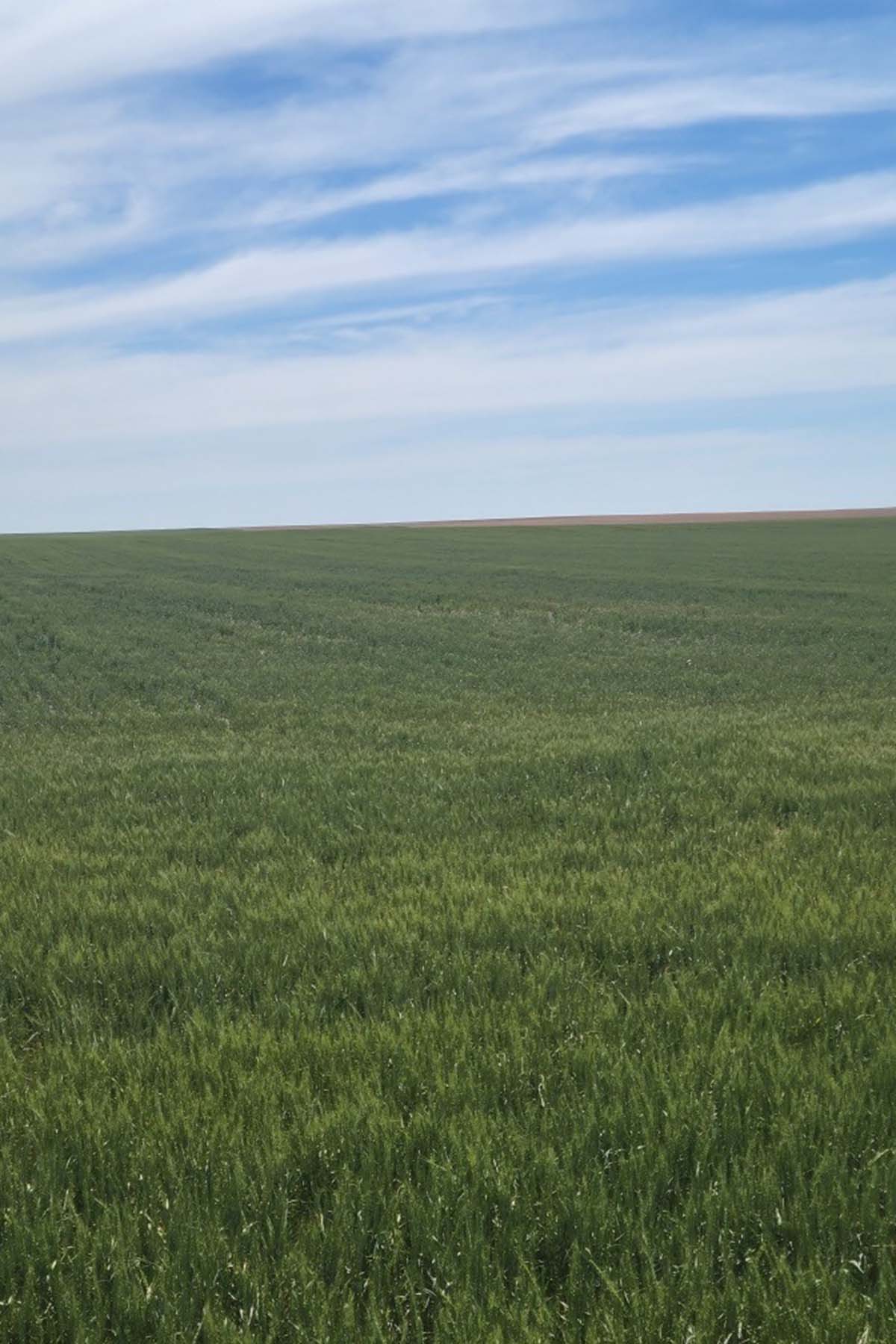 Kit Carson County Farmland property picture 7 of 31