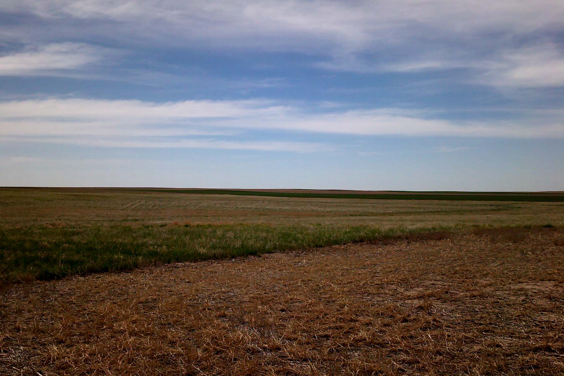 Kit Carson County Farmland property picture 29 of 31