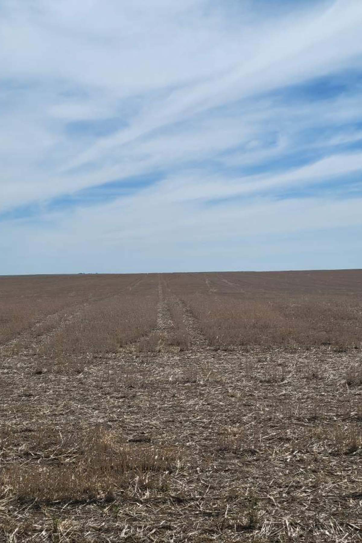Kit Carson County Farmland property picture 8 of 31
