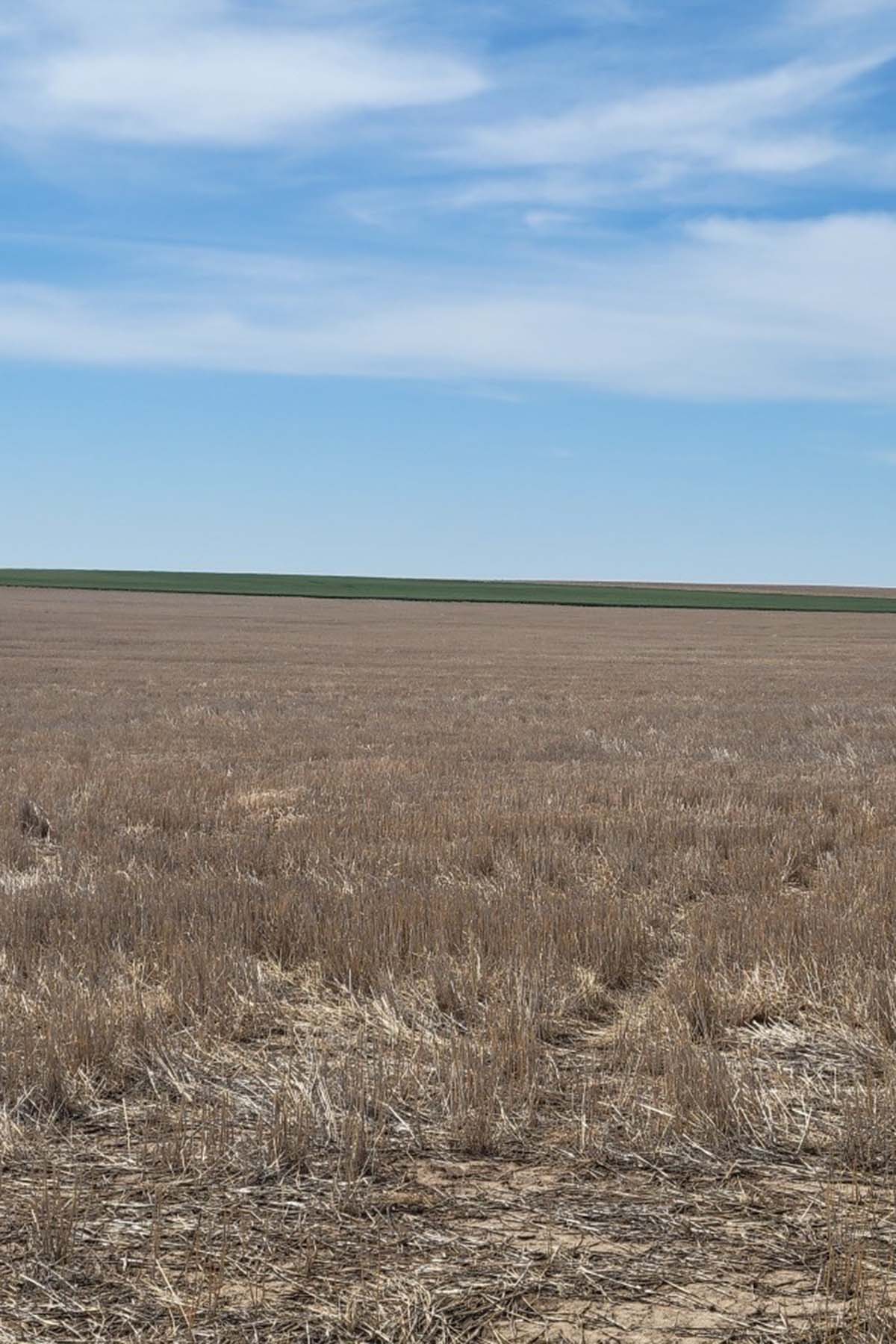 Kit Carson County Farmland property picture 14 of 31