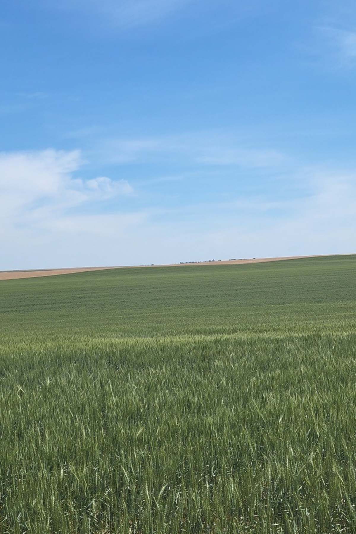 Kit Carson County Farmland property picture 20 of 31
