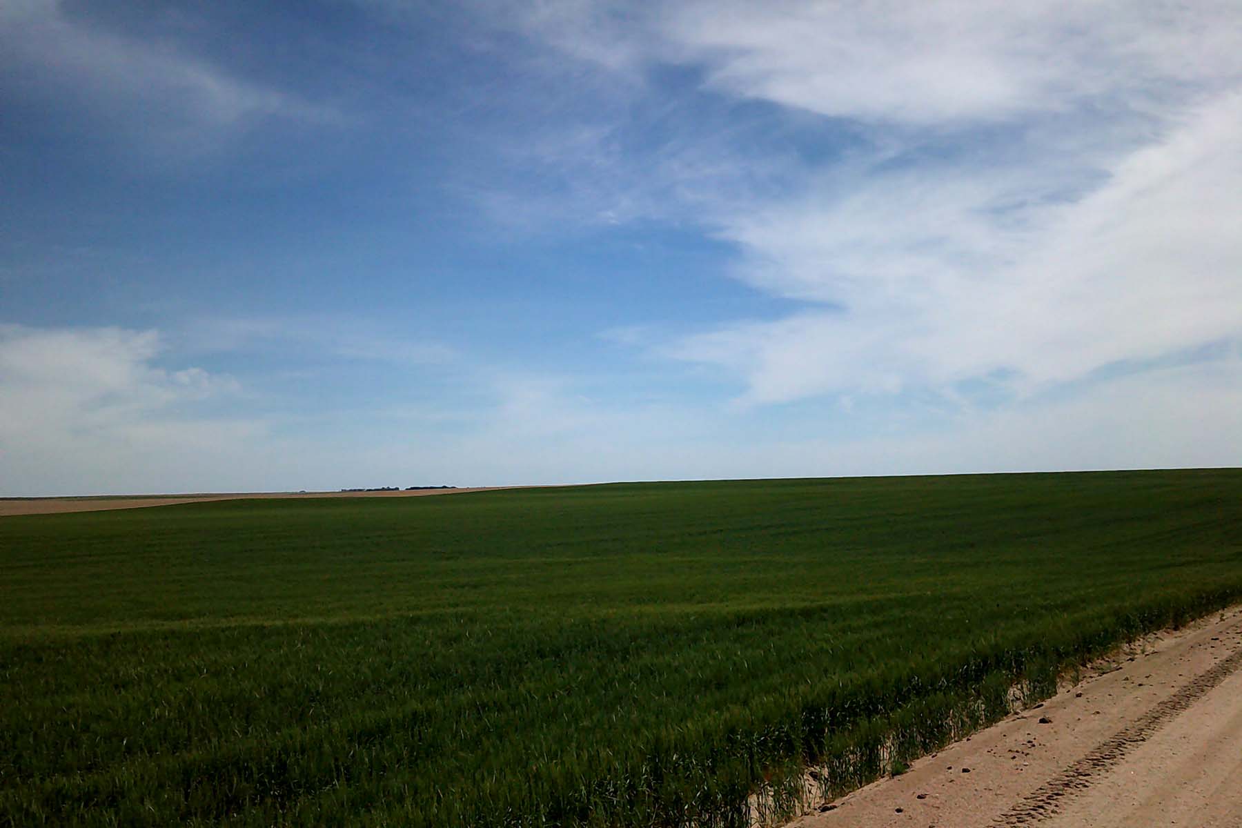 Kit Carson County Farmland property picture 3 of 31