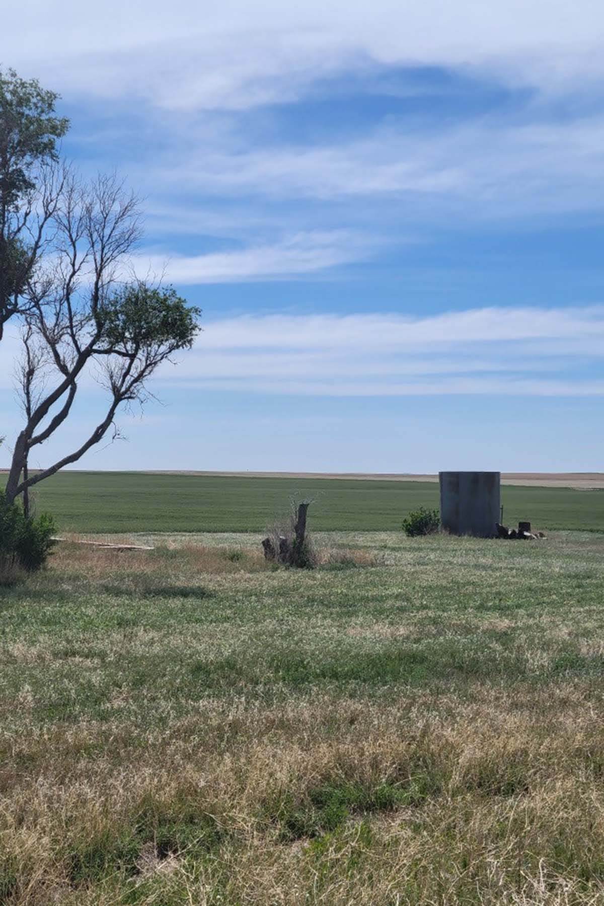 Kit Carson County Farmland property picture 28 of 31