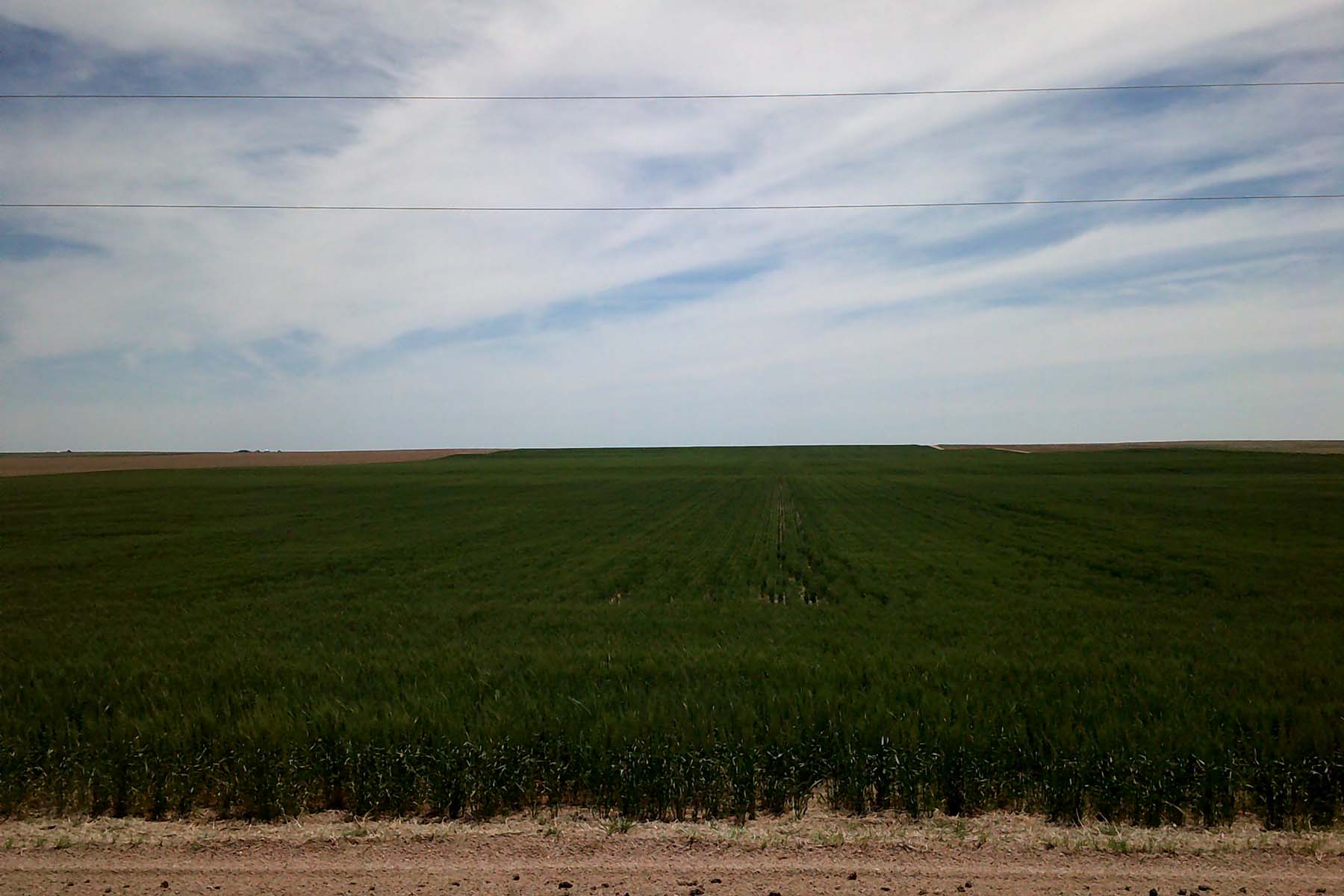 Kit Carson County Farmland property picture 13 of 31