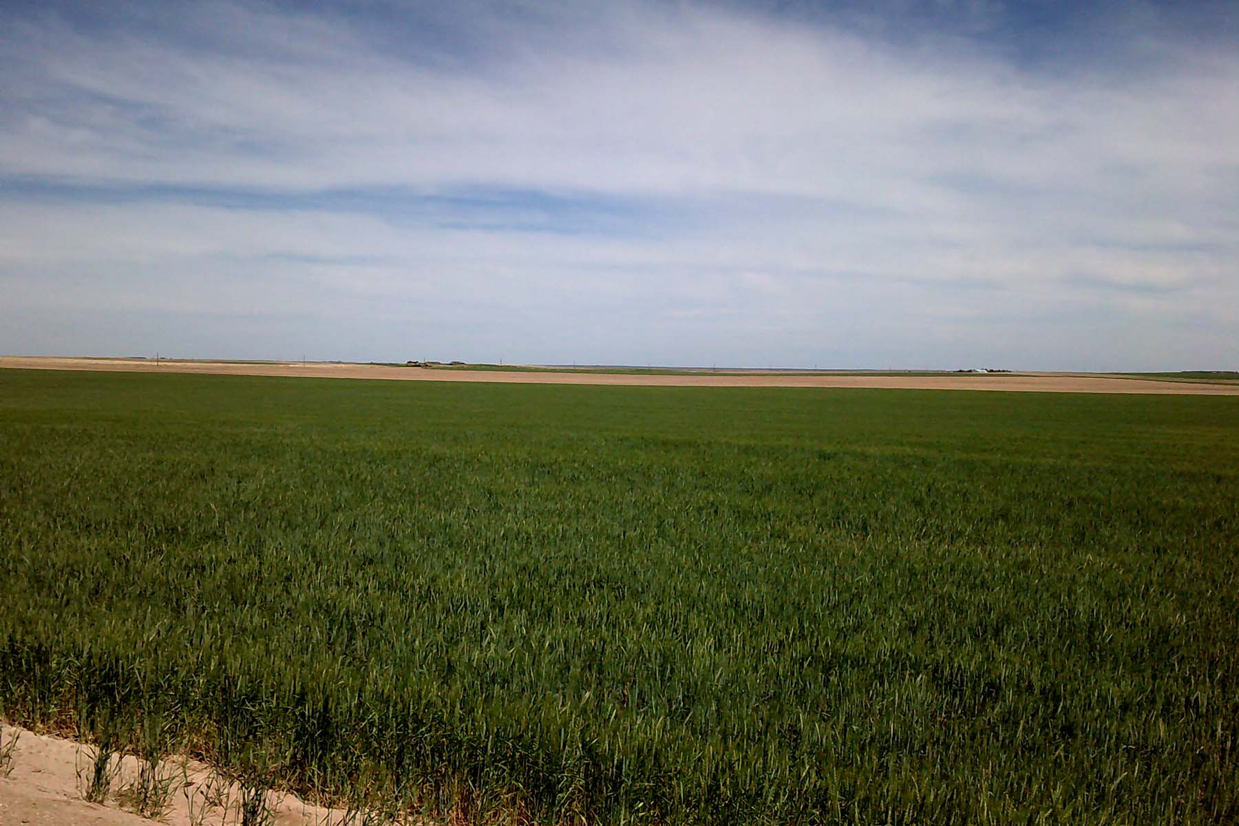 Kit Carson County Farmland property picture 10 of 31
