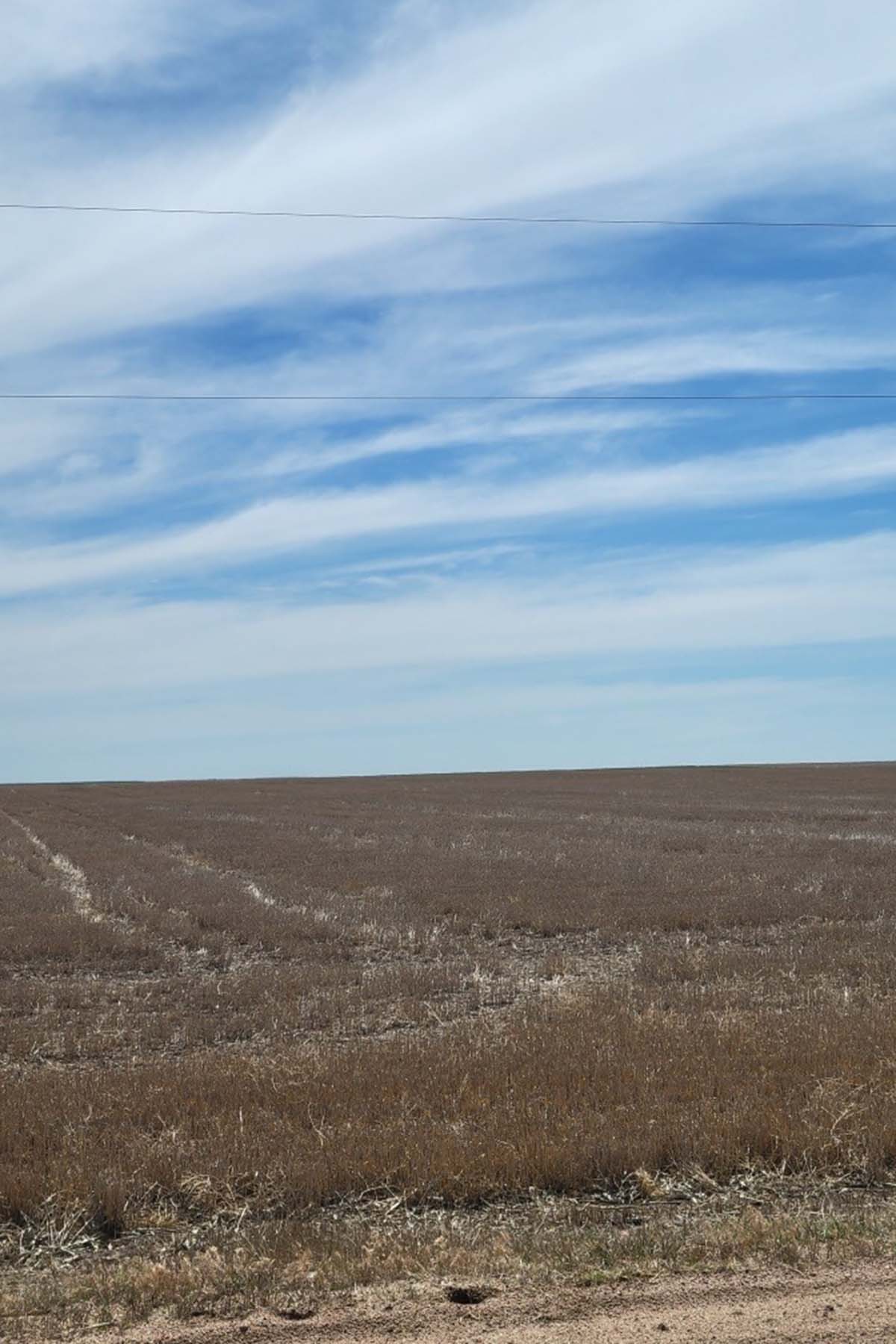 Kit Carson County Farmland property picture 9 of 31