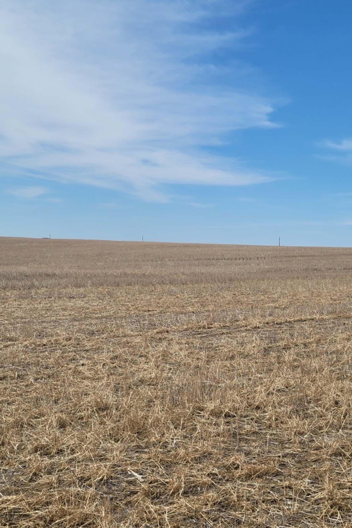 Kit Carson County Farmland property picture 11 of 31