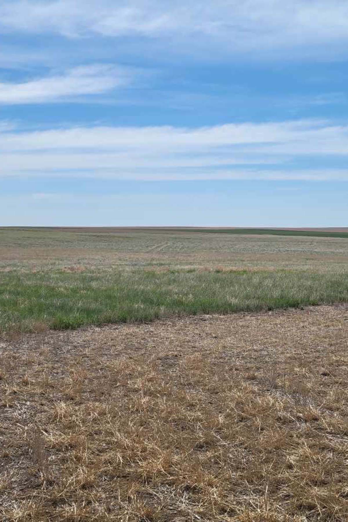 Kit Carson County Farmland property picture 12 of 31