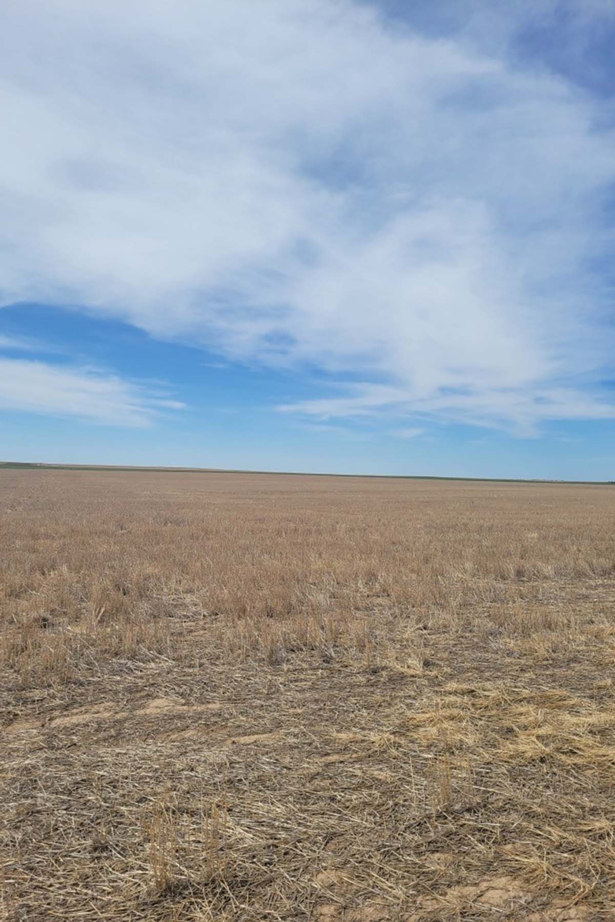 Kit Carson County Farmland property picture 16 of 31