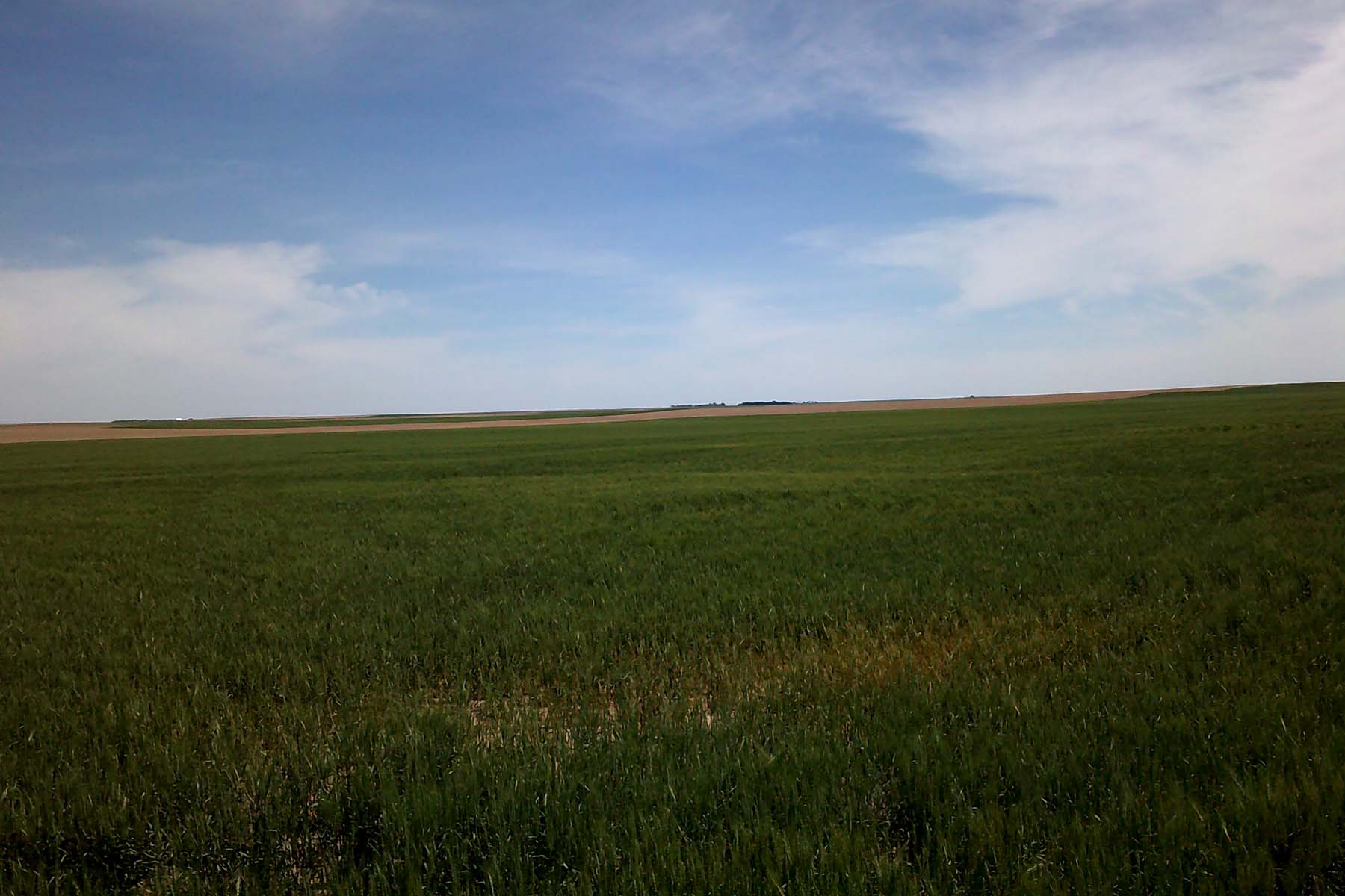 Kit Carson County Farmland property picture 5 of 31