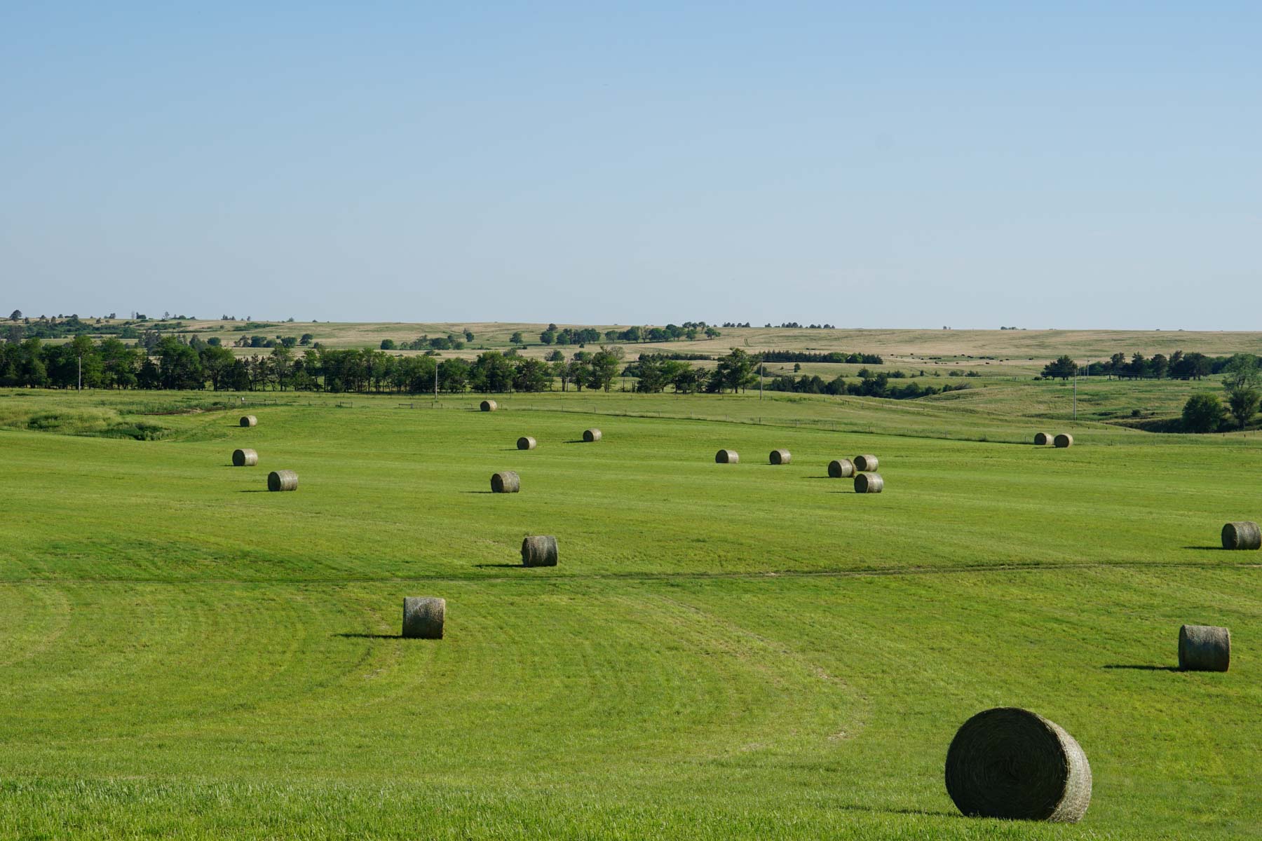 Middle Creek Farm property picture 65 of 78