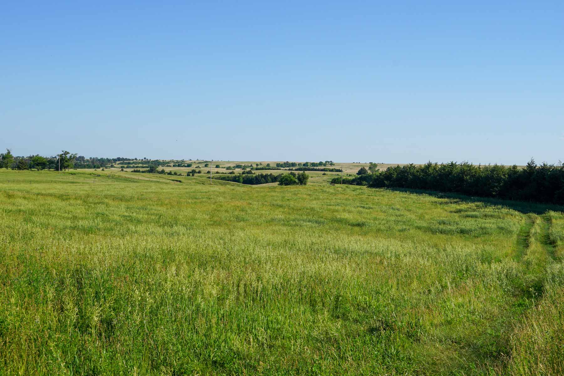 Middle Creek Farm property picture 67 of 78