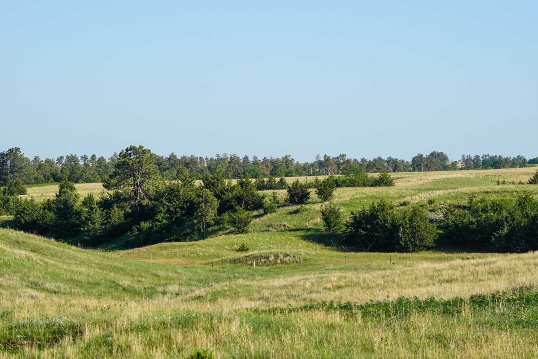 Middle Creek Farm property picture 73 of 78