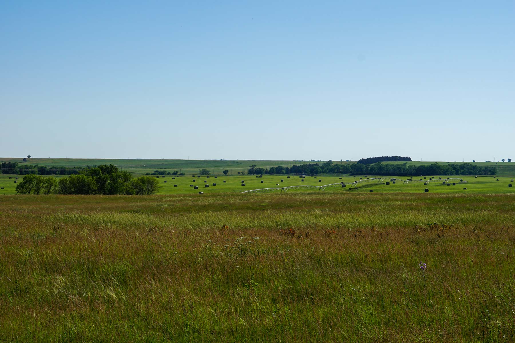Middle Creek Farm property picture 63 of 78