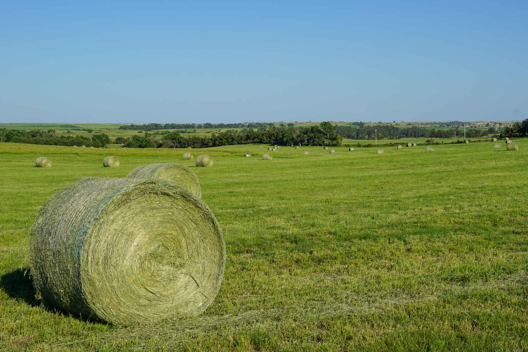 Middle Creek Farm property picture 76 of 78