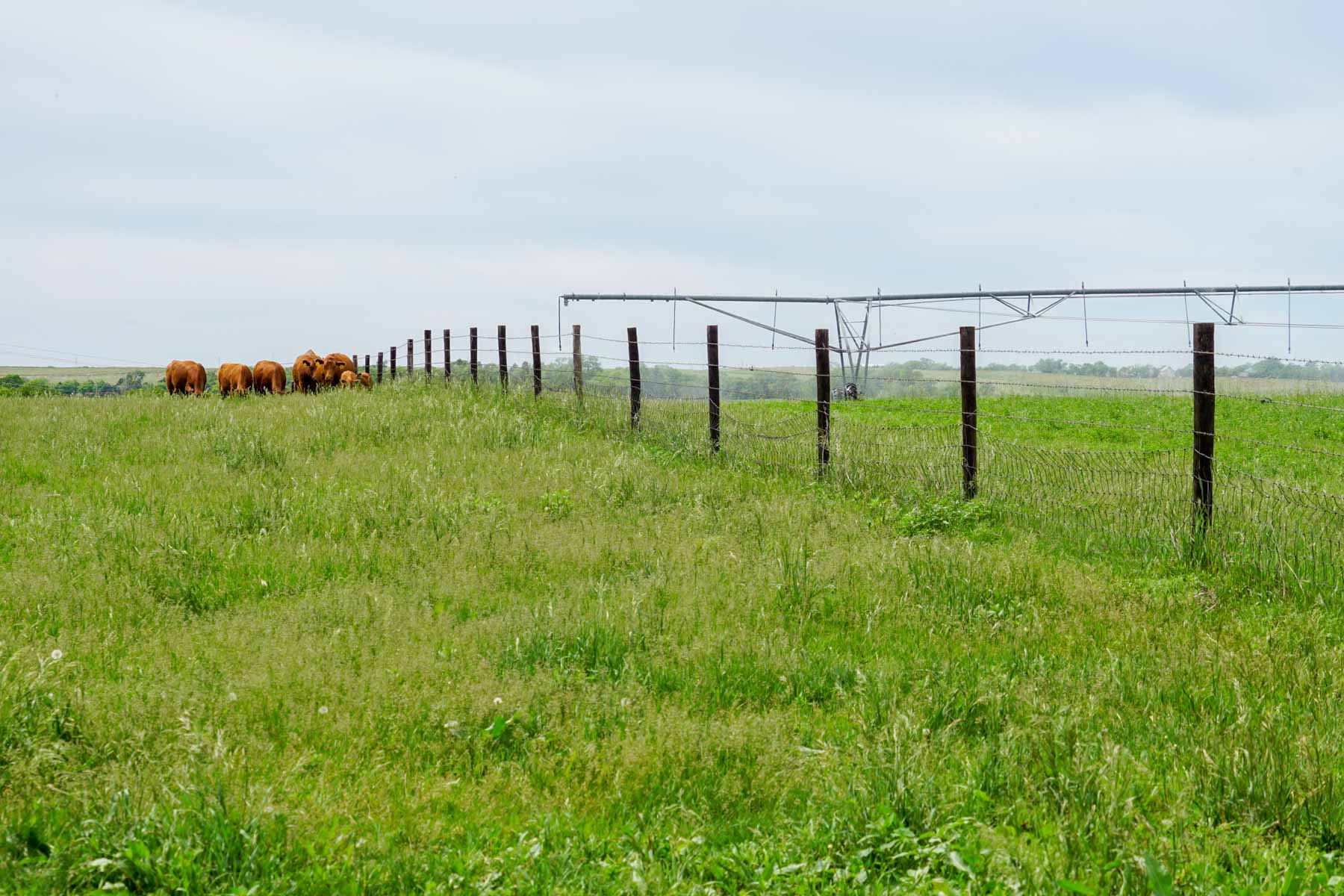 Middle Creek Farm property picture 40 of 78