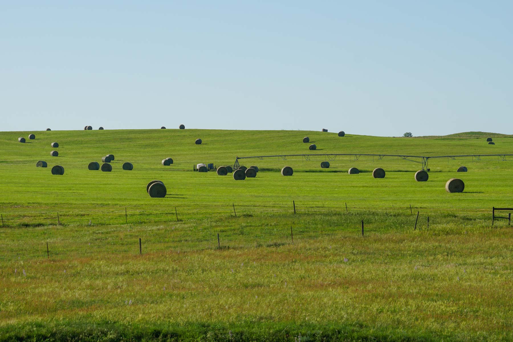 Middle Creek Farm property picture 72 of 78