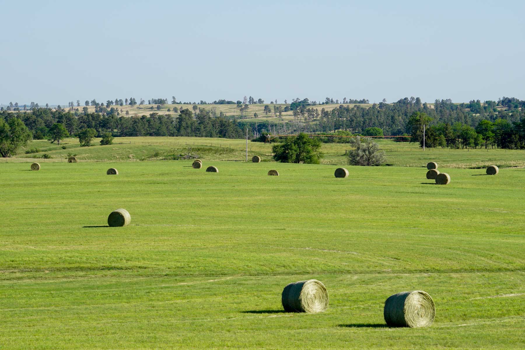 Middle Creek Farm property picture 61 of 78