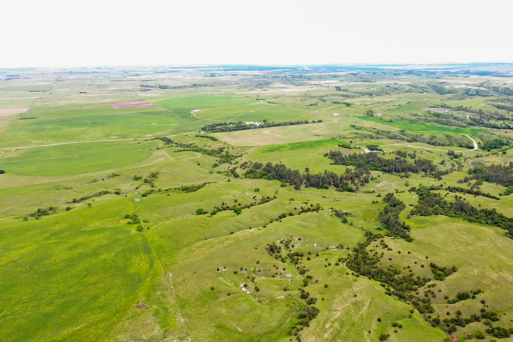 Middle Creek Farm property picture 32 of 78