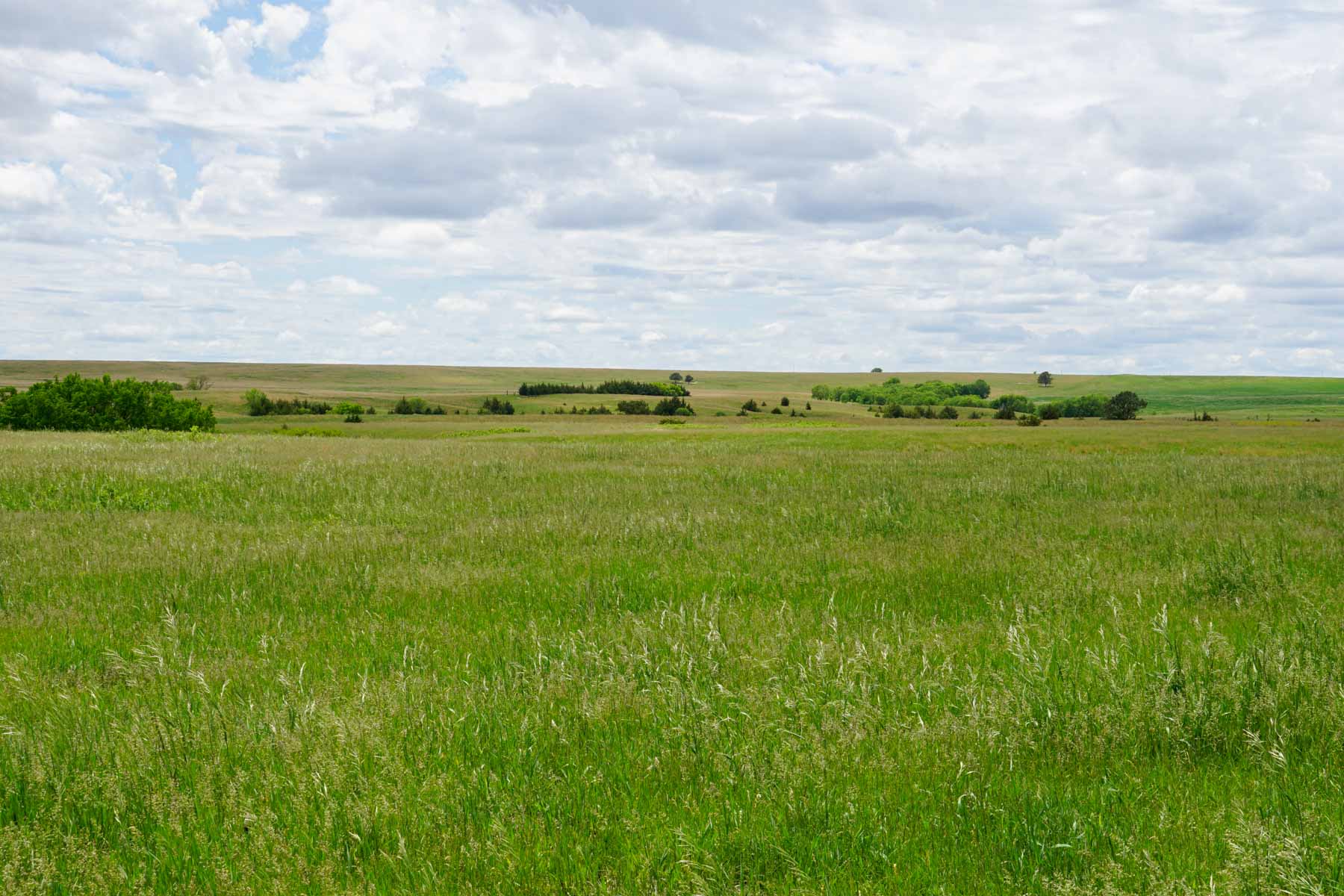 Middle Creek Farm property picture 12 of 78