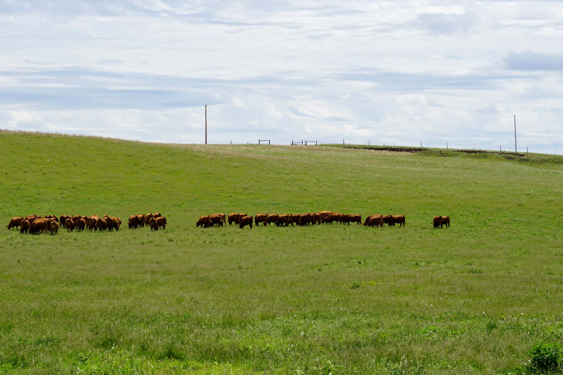 Middle Creek Farm property picture 25 of 78