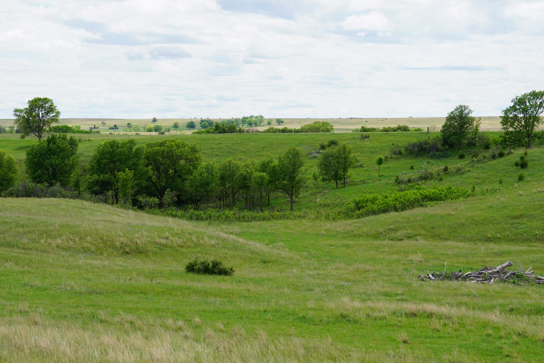 Middle Creek Farm property picture 6 of 78