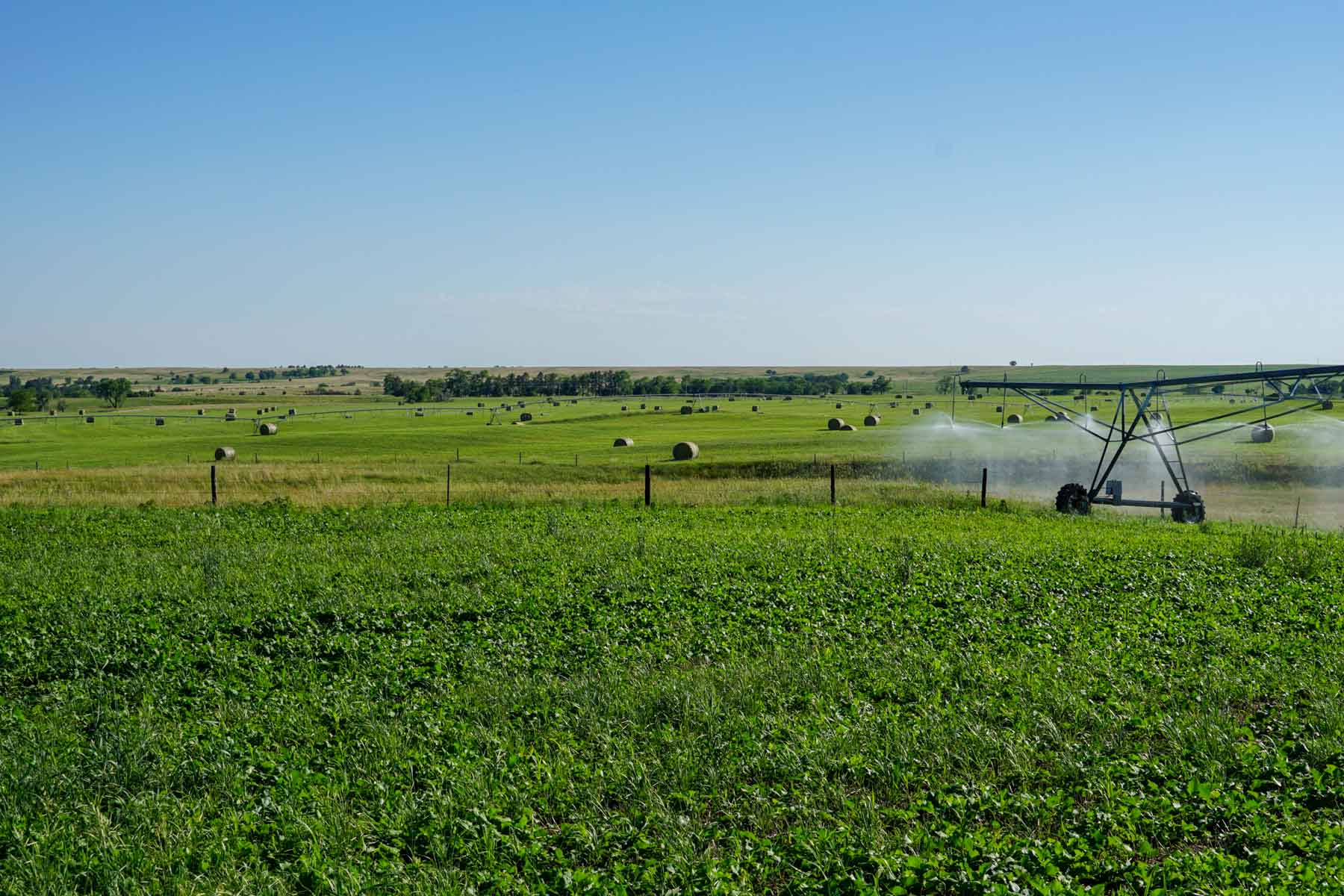 Middle Creek Farm property picture 53 of 78