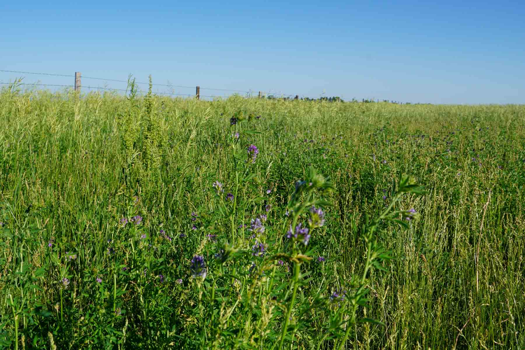 Middle Creek Farm property picture 66 of 78