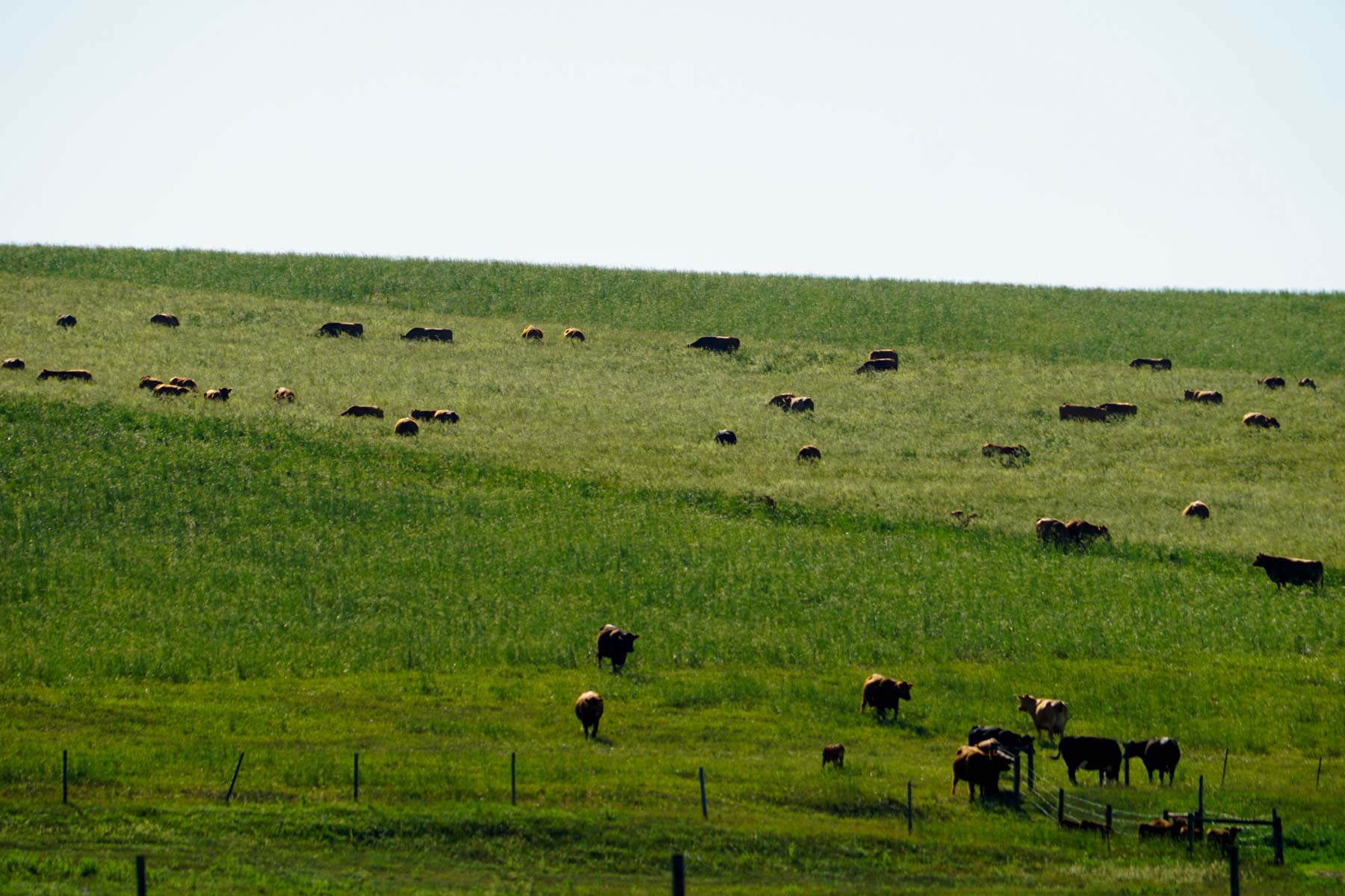 Middle Creek Farm property picture 69 of 78
