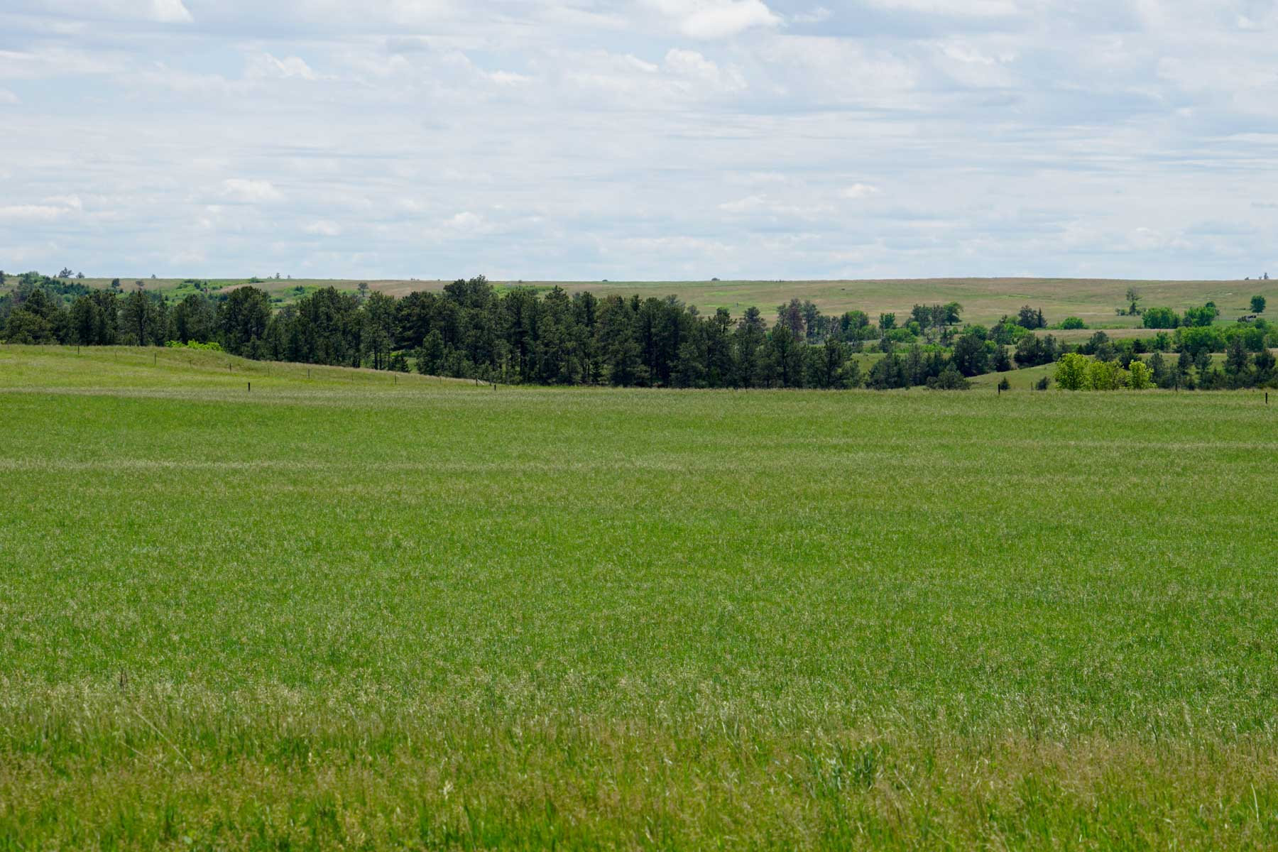 Middle Creek Farm property picture 78 of 78