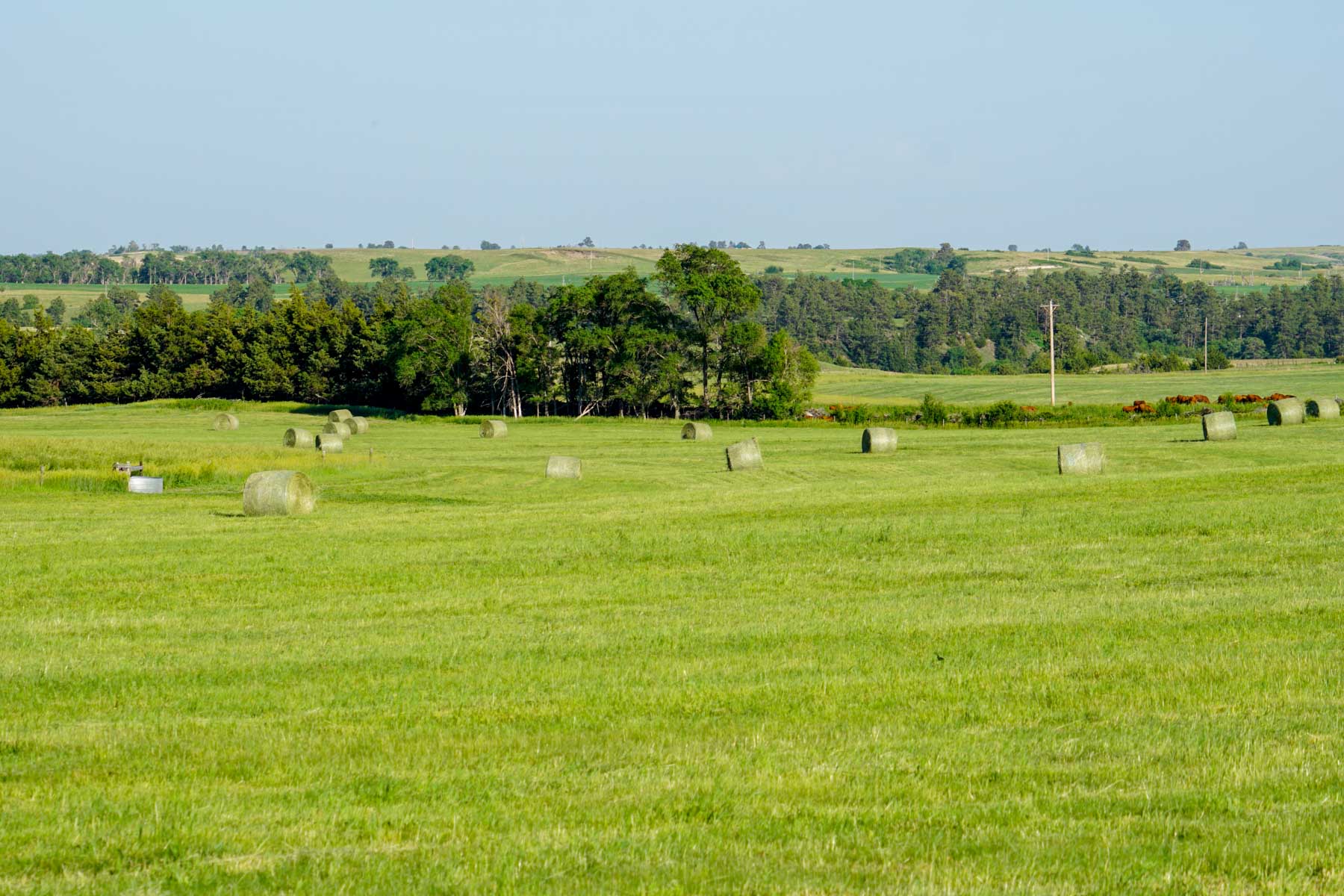 Middle Creek Farm property picture 77 of 78