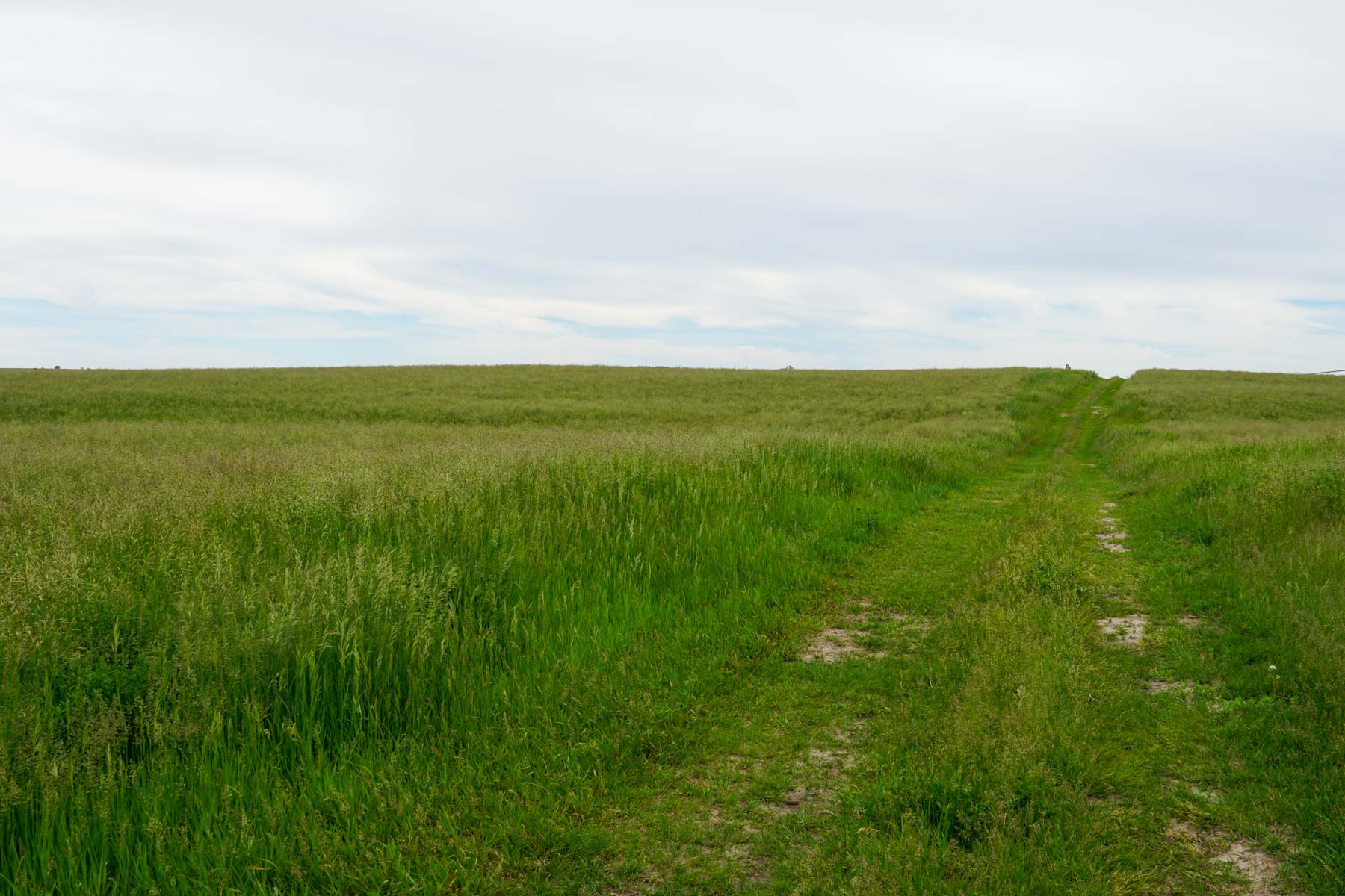Middle Creek Farm property picture 51 of 78