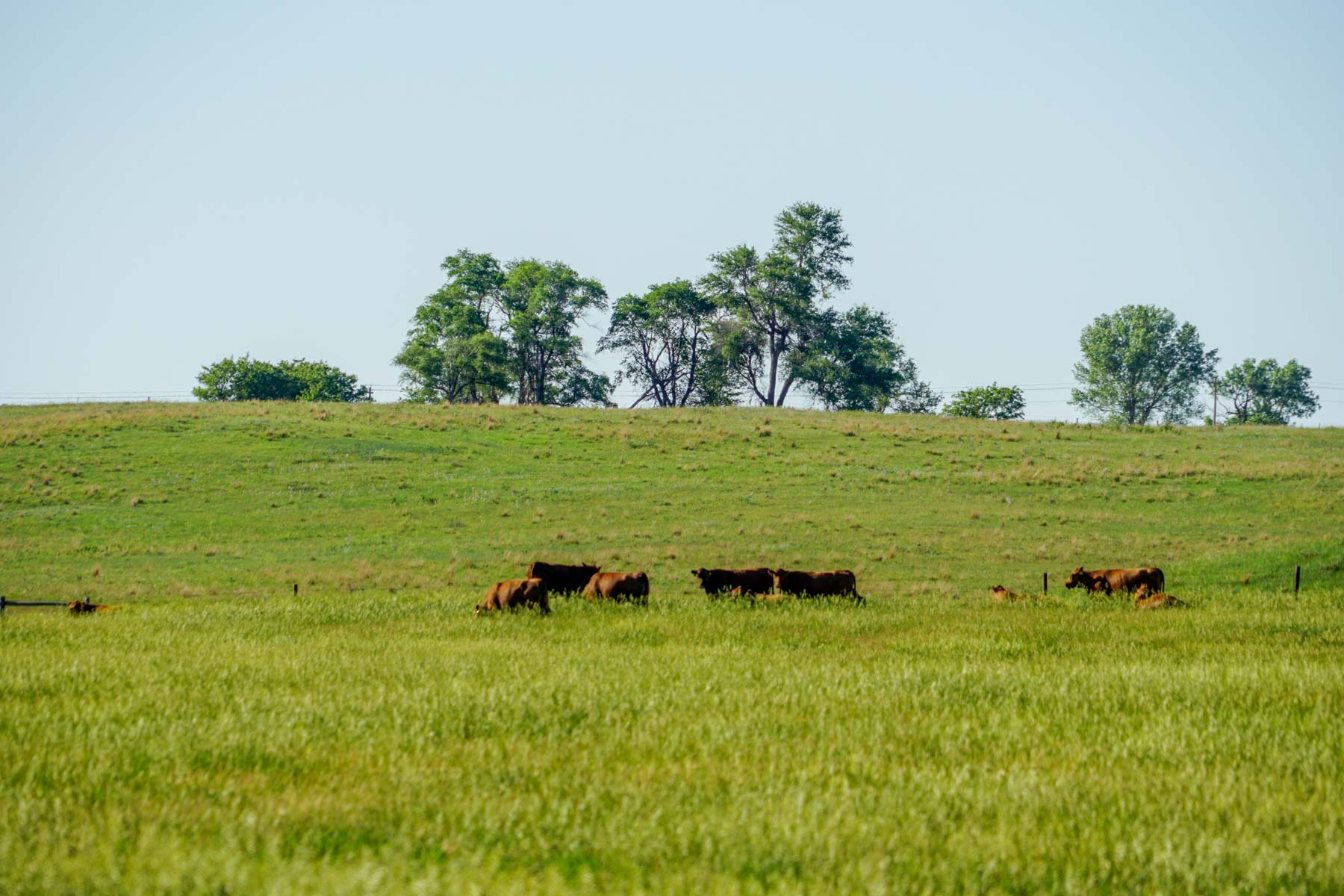Middle Creek Farm property picture 70 of 78