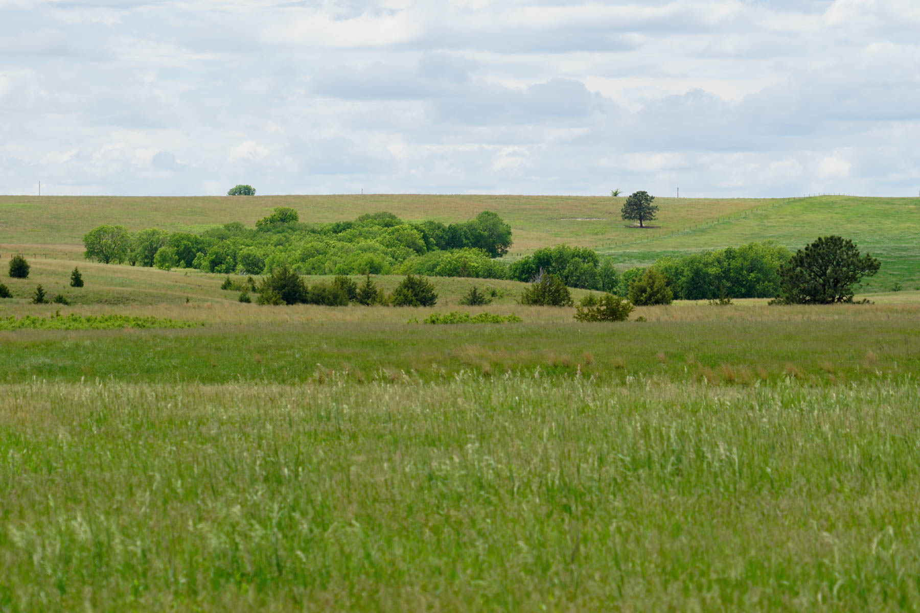 Middle Creek Farm property picture 14 of 78