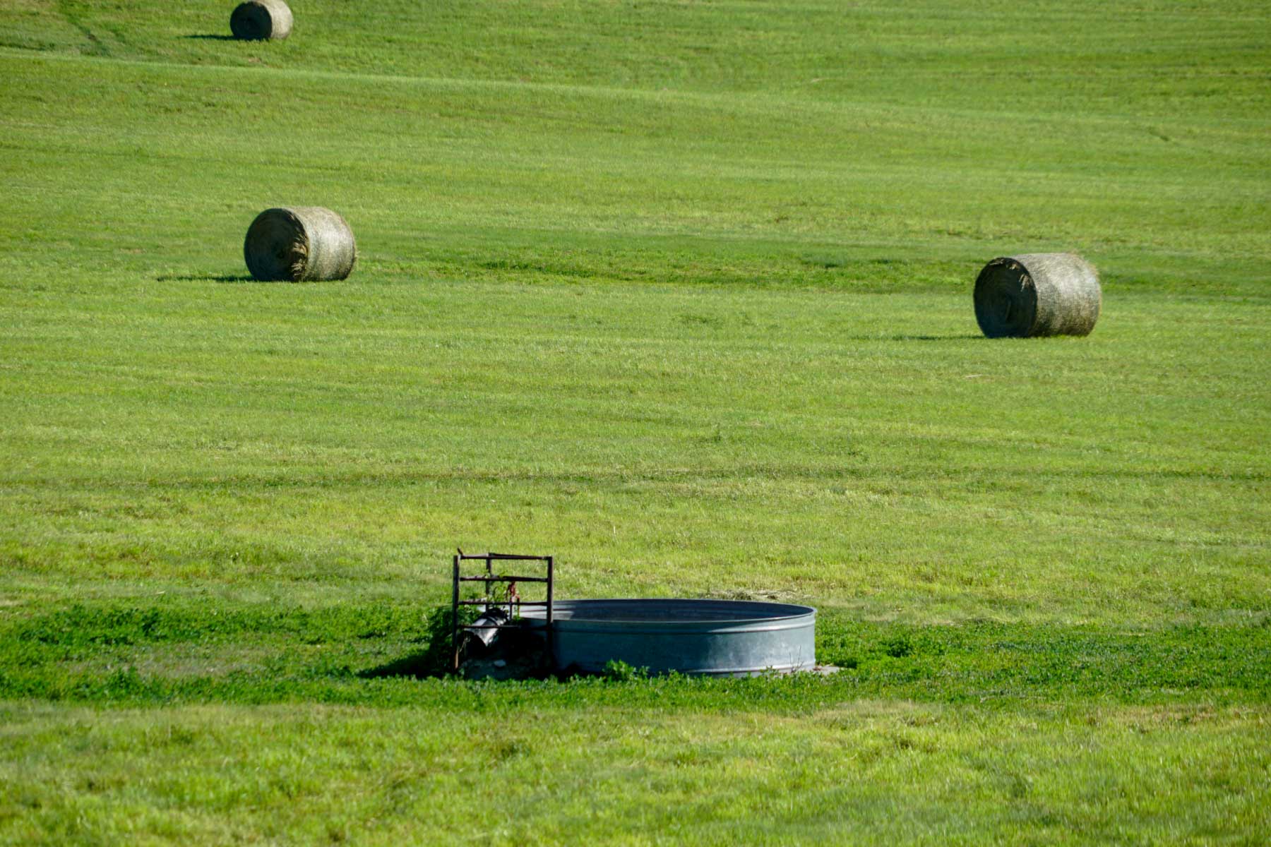 Middle Creek Farm property picture 64 of 78