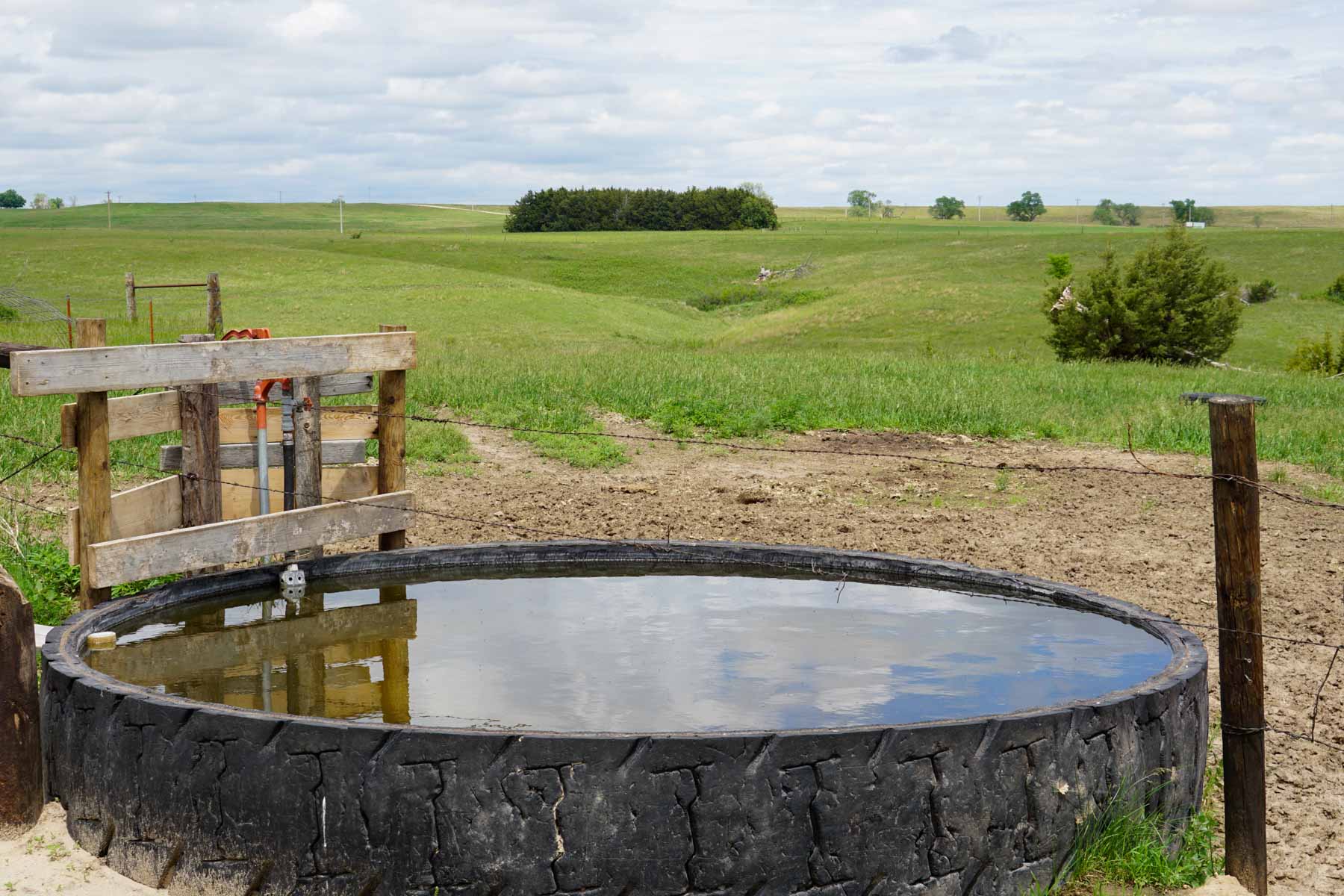 Middle Creek Farm property picture 10 of 78