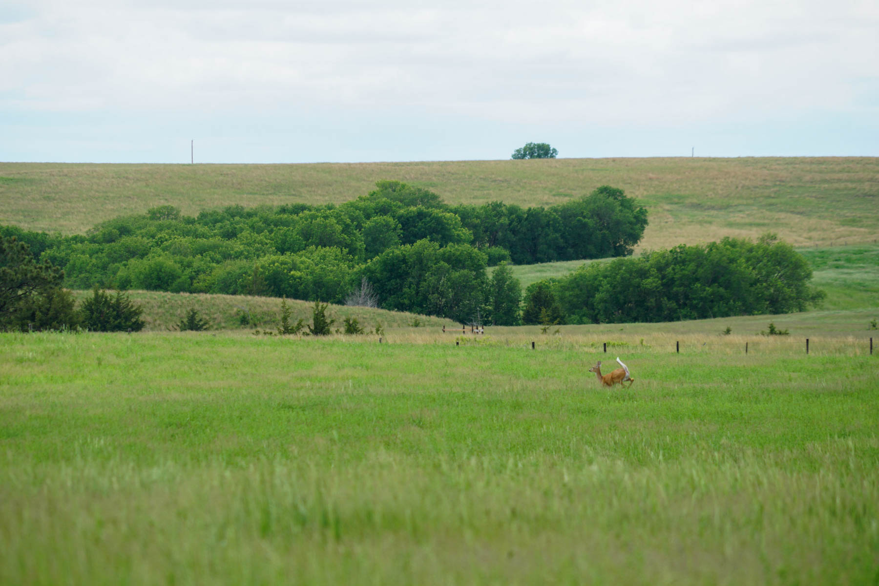 Middle Creek Farm property picture 19 of 78