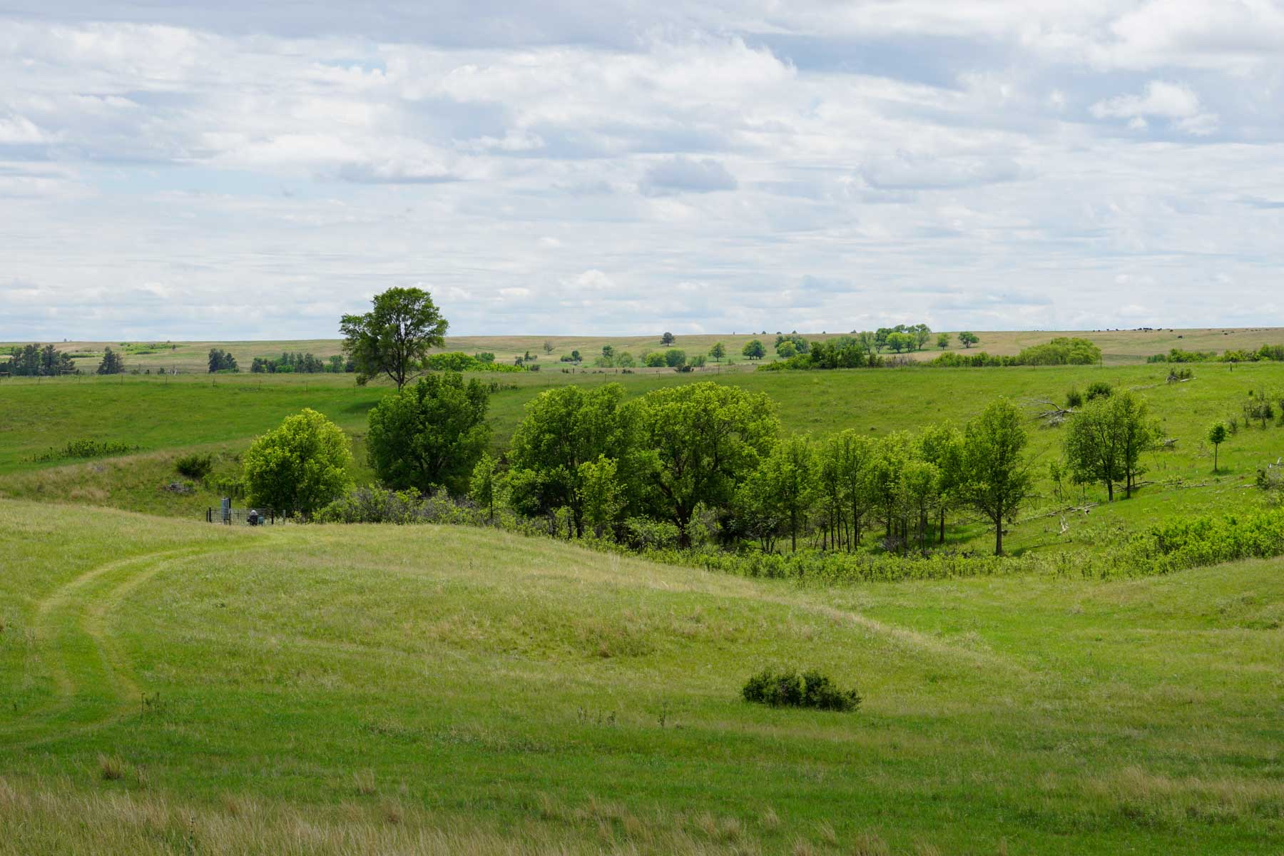 Middle Creek Farm property picture 8 of 78