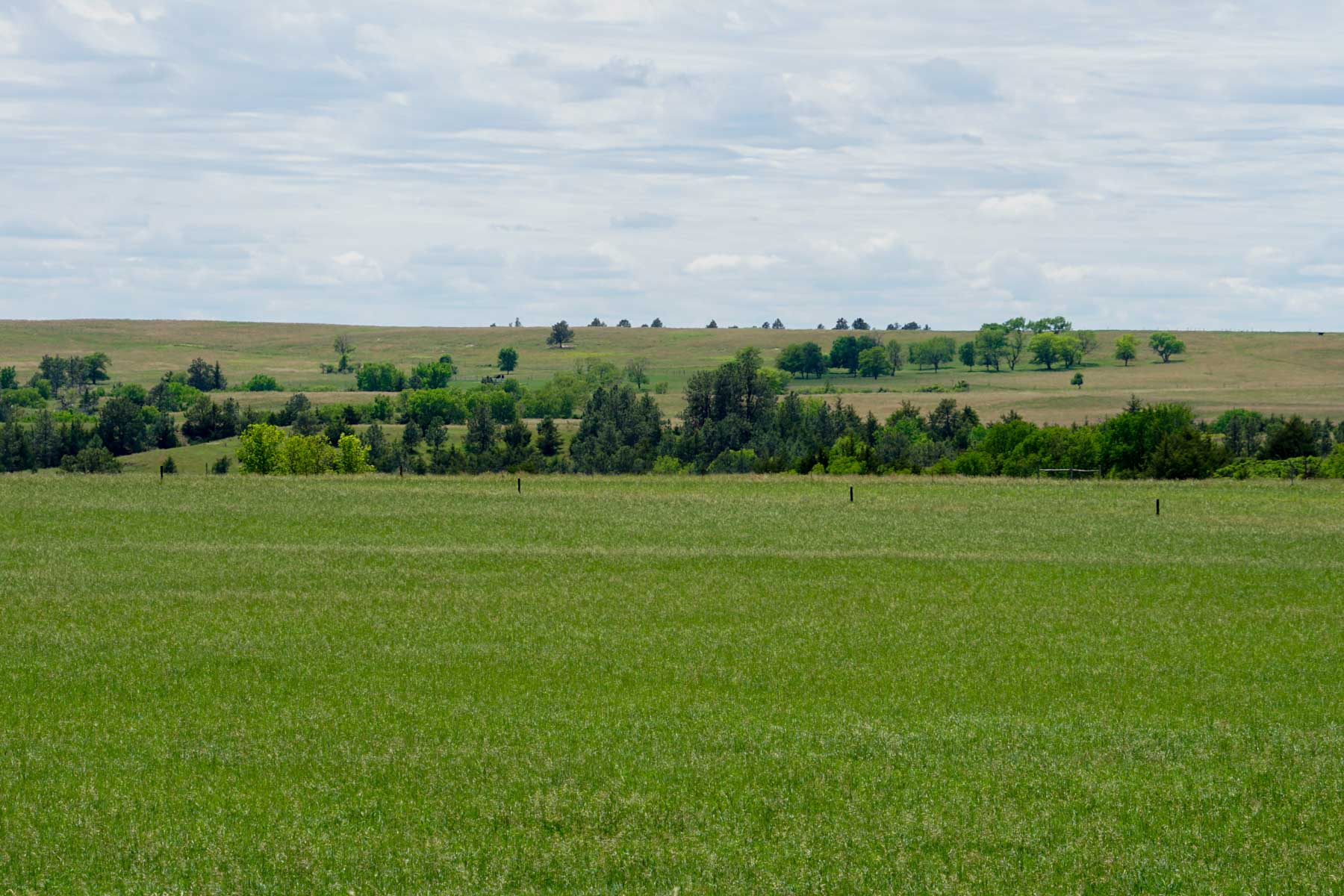 Middle Creek Farm property picture 4 of 78