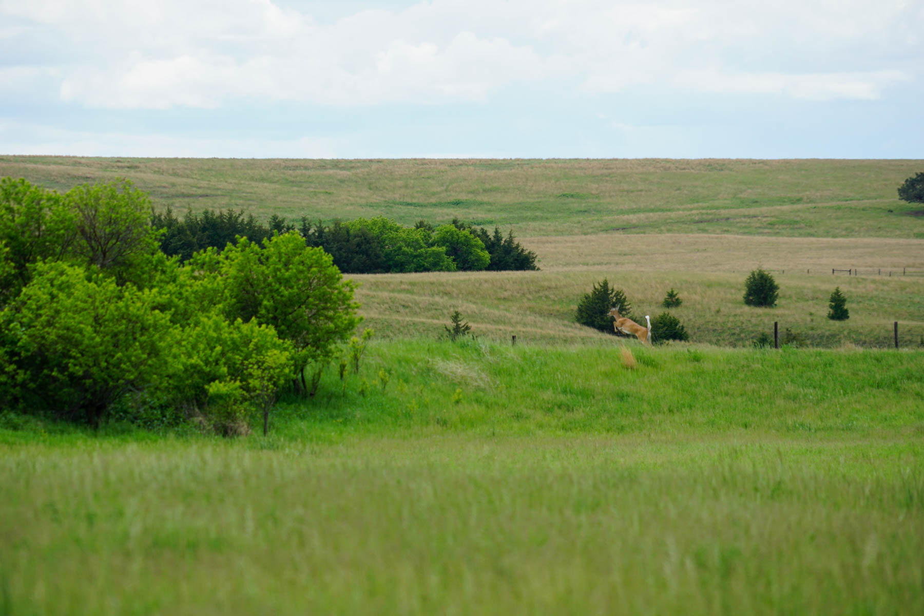 Middle Creek Farm property picture 20 of 78