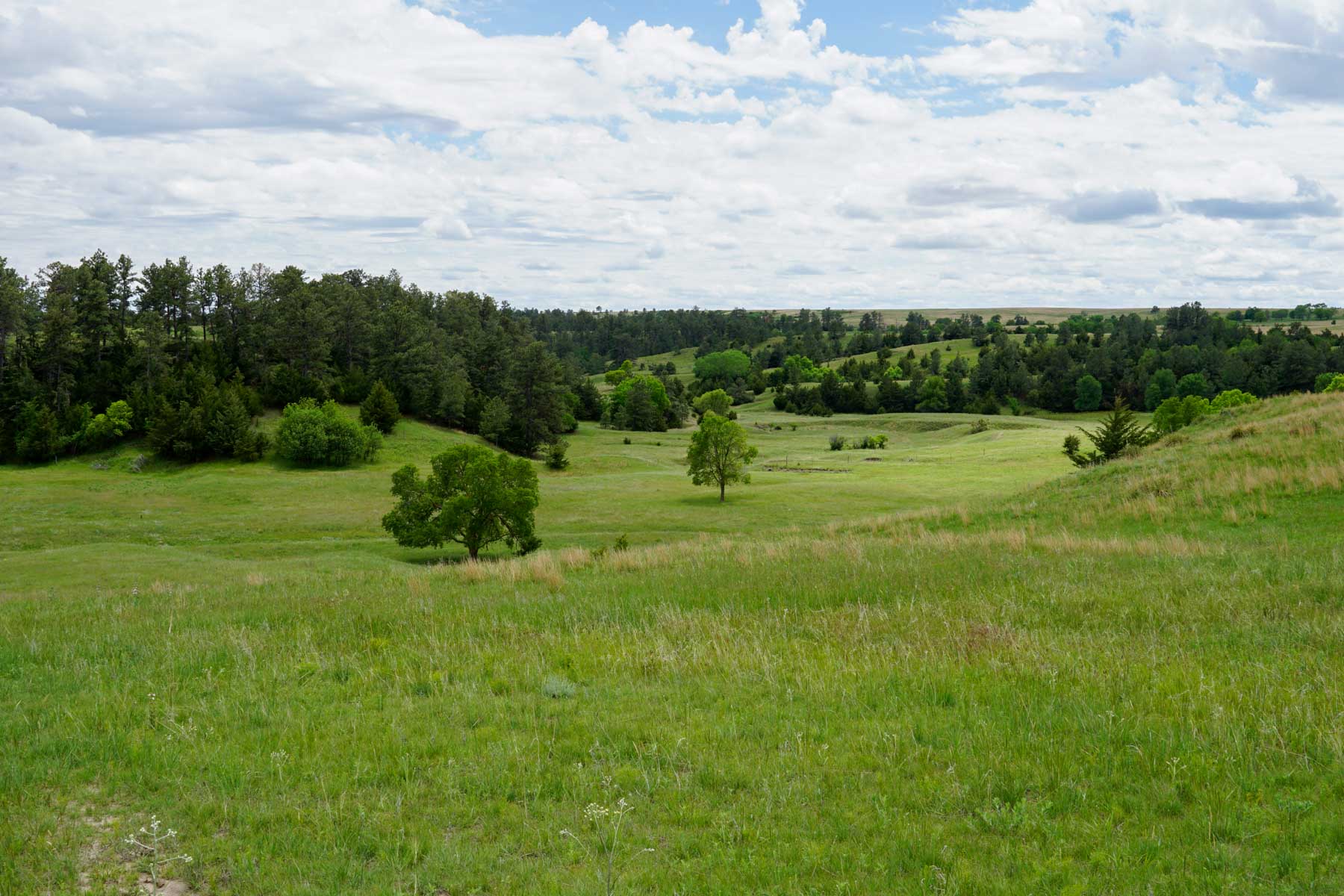 Middle Creek Farm property picture 18 of 78