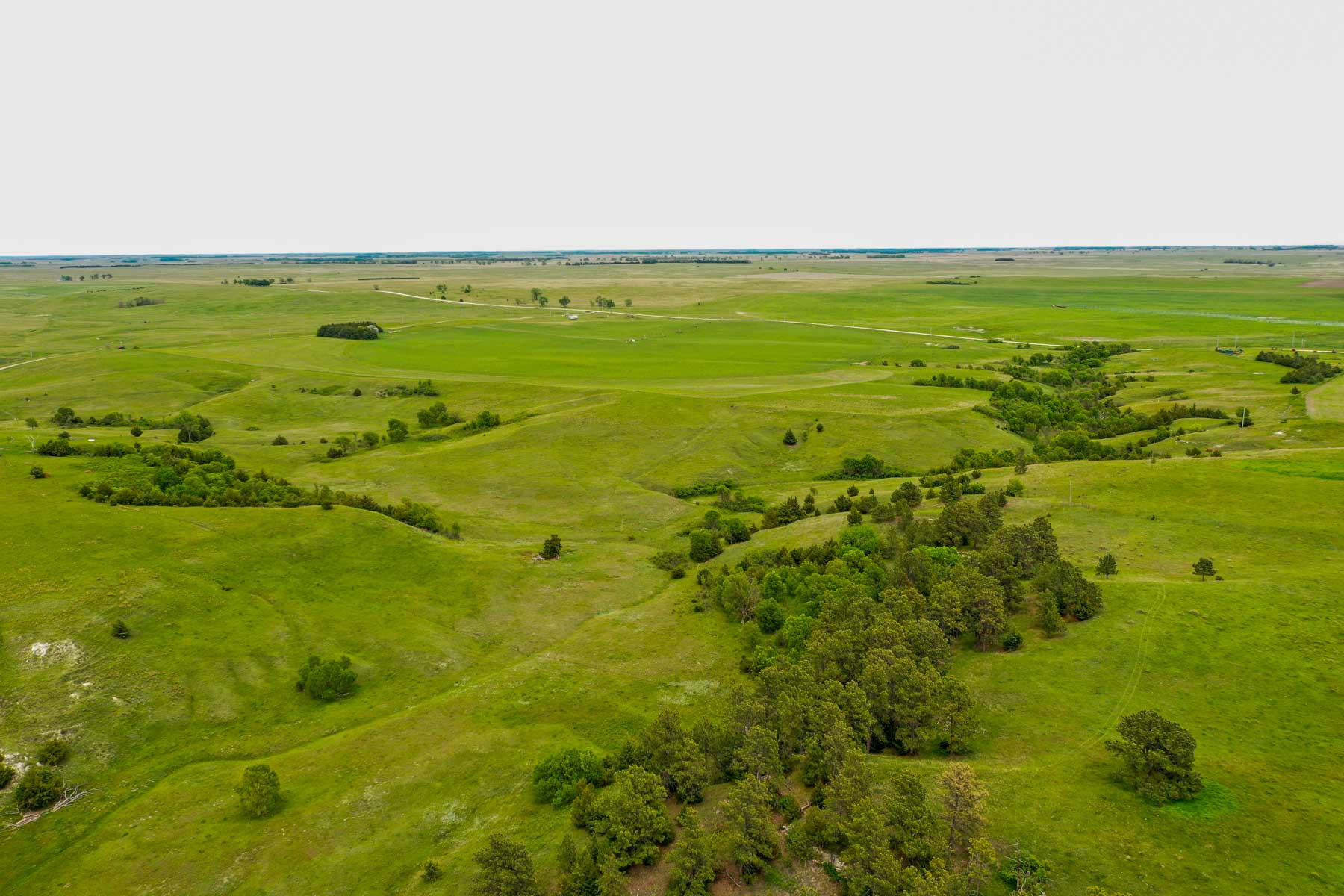 Middle Creek Farm property picture 30 of 78