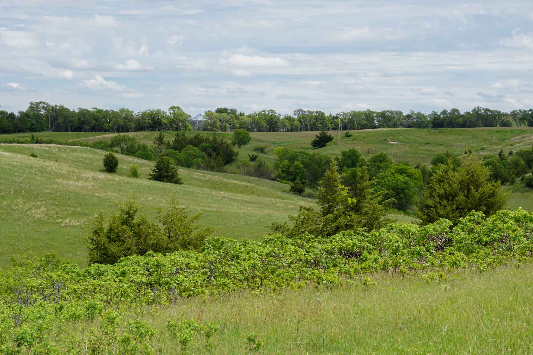 Middle Creek Farm property picture 15 of 78