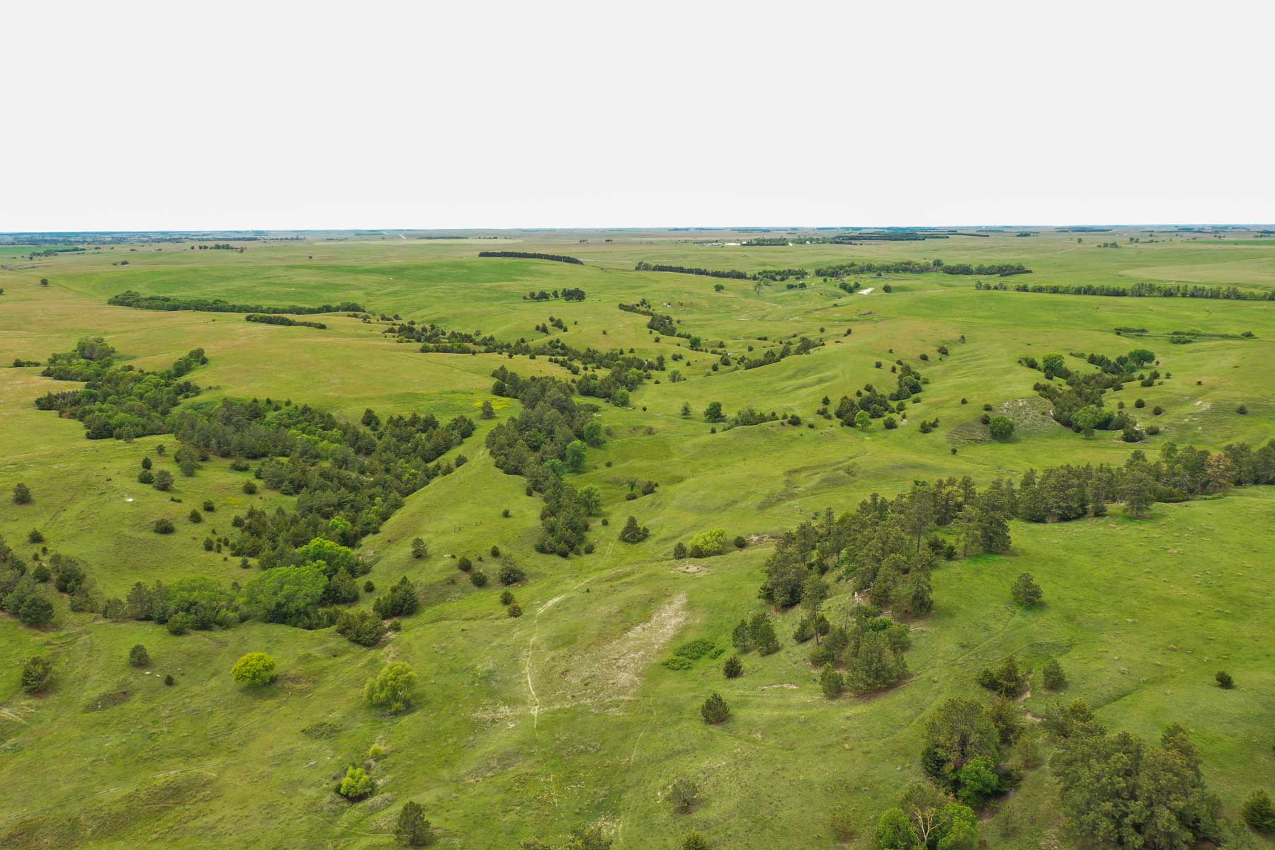 Middle Creek Farm property picture 29 of 78