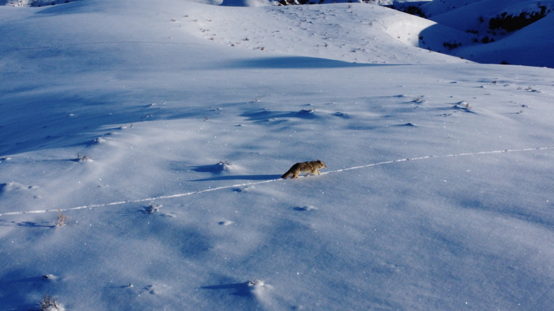 Colorado Hunting Ranches property picture 40 of 120