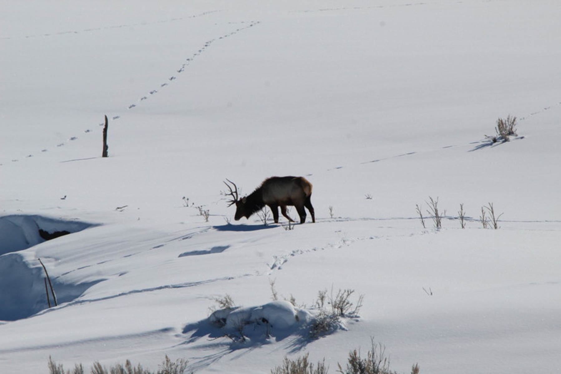 Colorado Hunting Ranches property picture 52 of 120