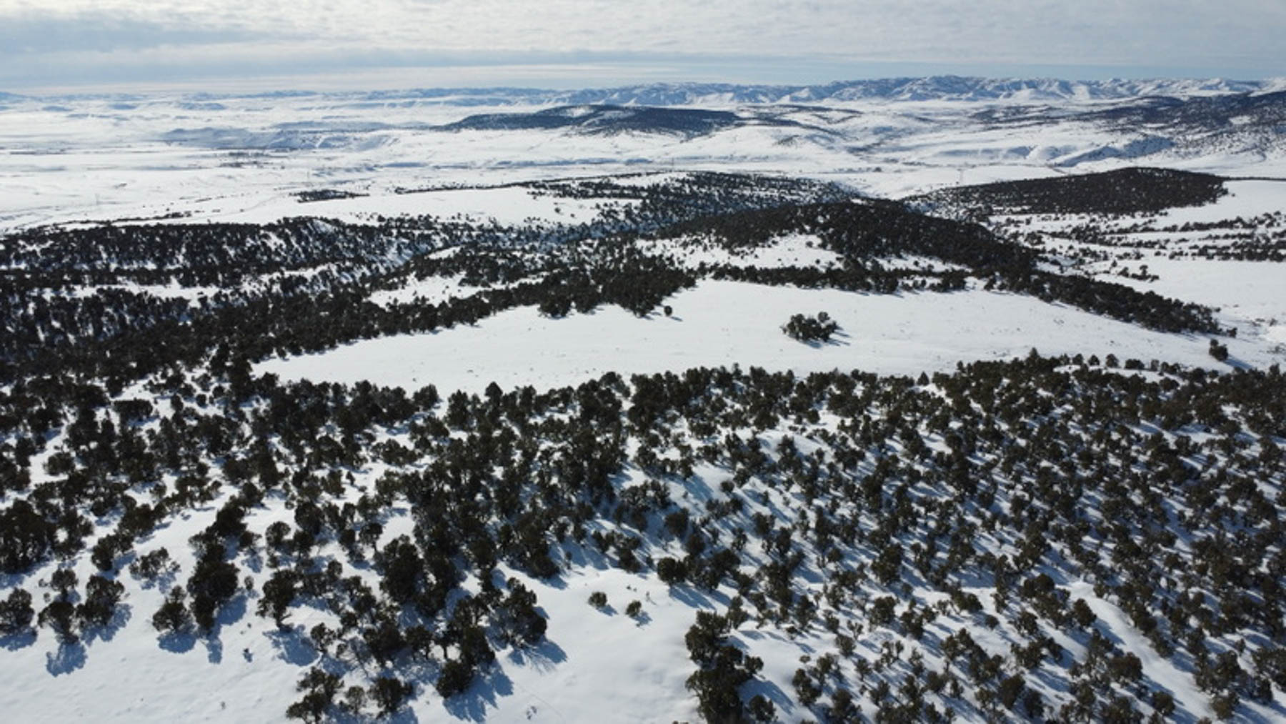 Colorado Hunting Ranches property picture 92 of 120