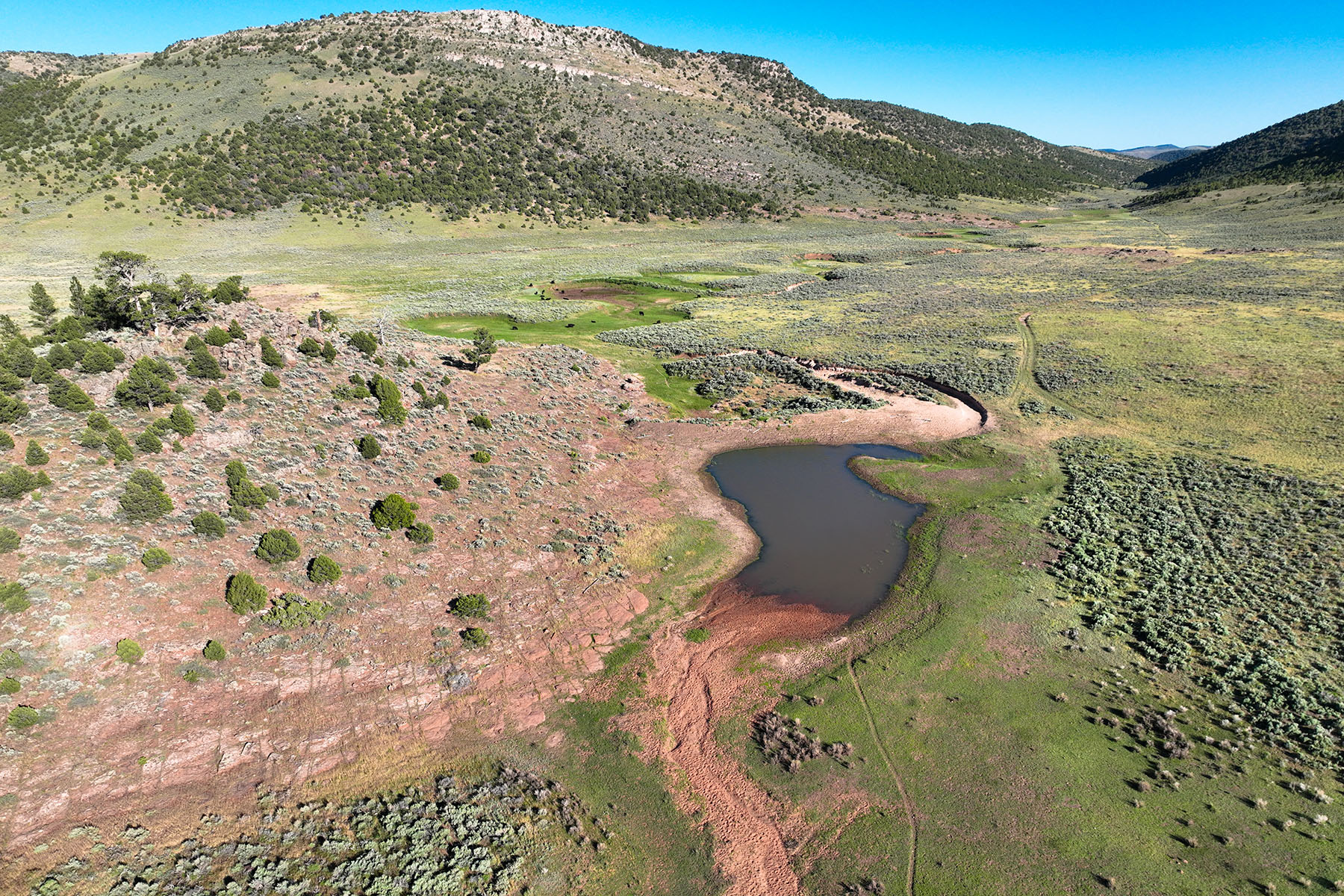 Colorado Hunting Ranches property picture 4 of 120